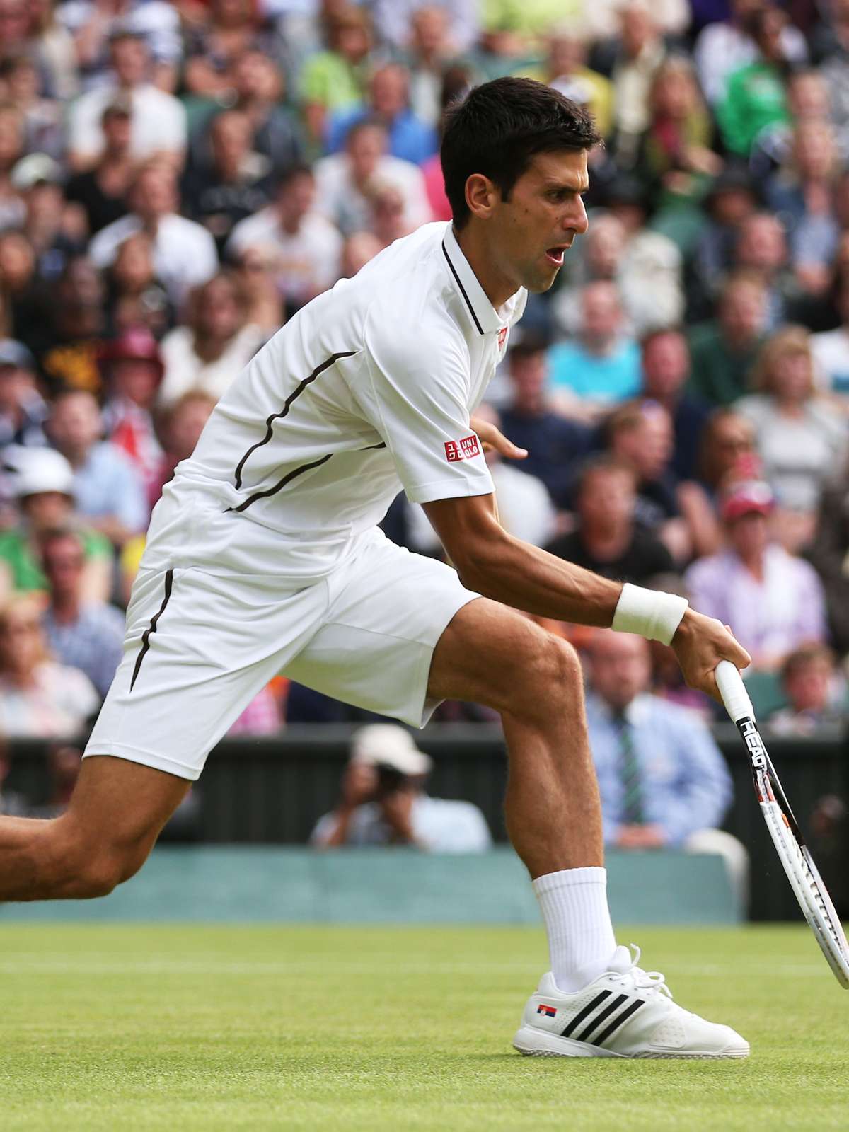 Djokovic confirma favoritismo, vence 7º título de Wimbledon e