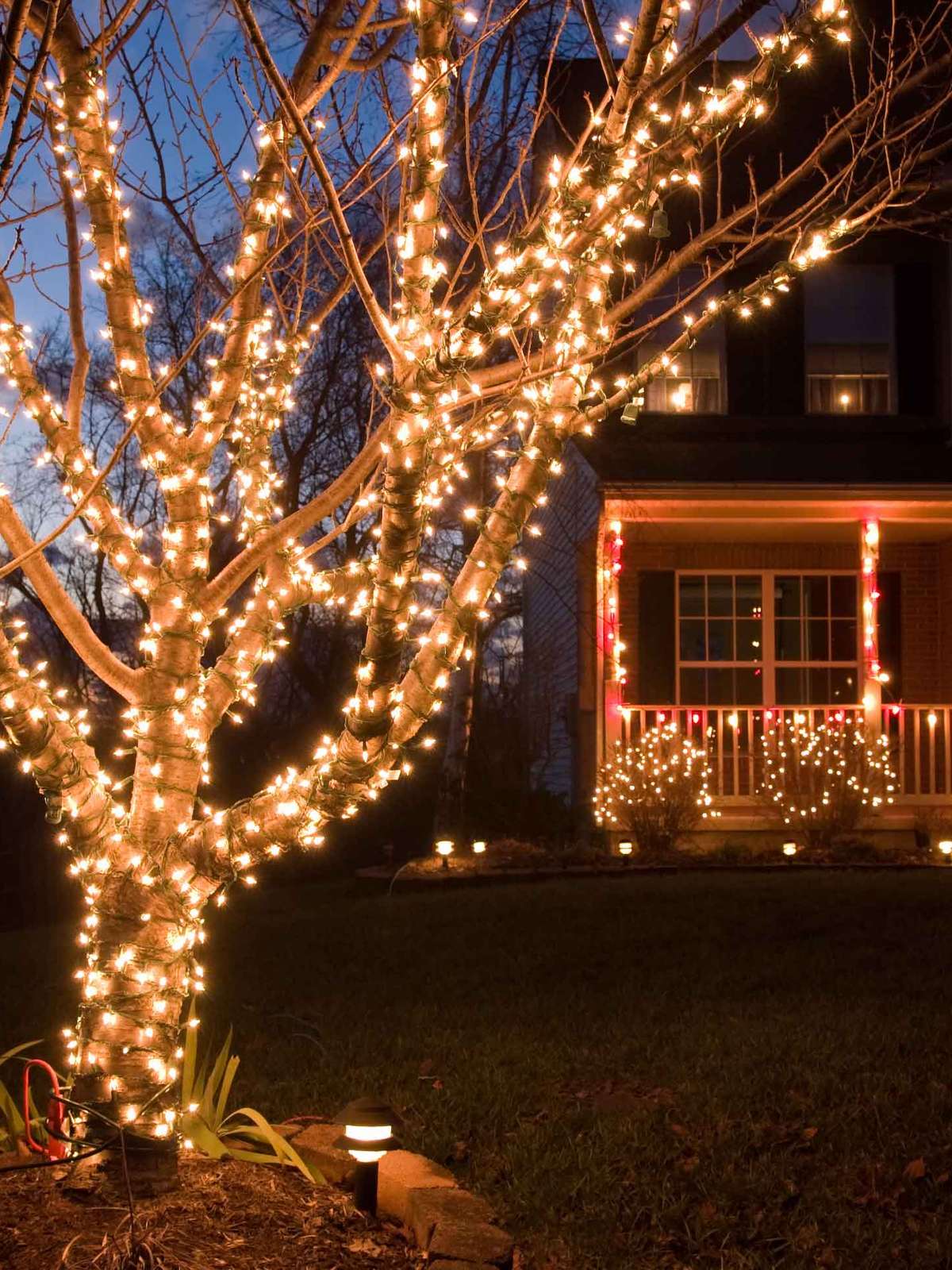 Com luzes, deixe sua árvore de Natal igual às do shopping