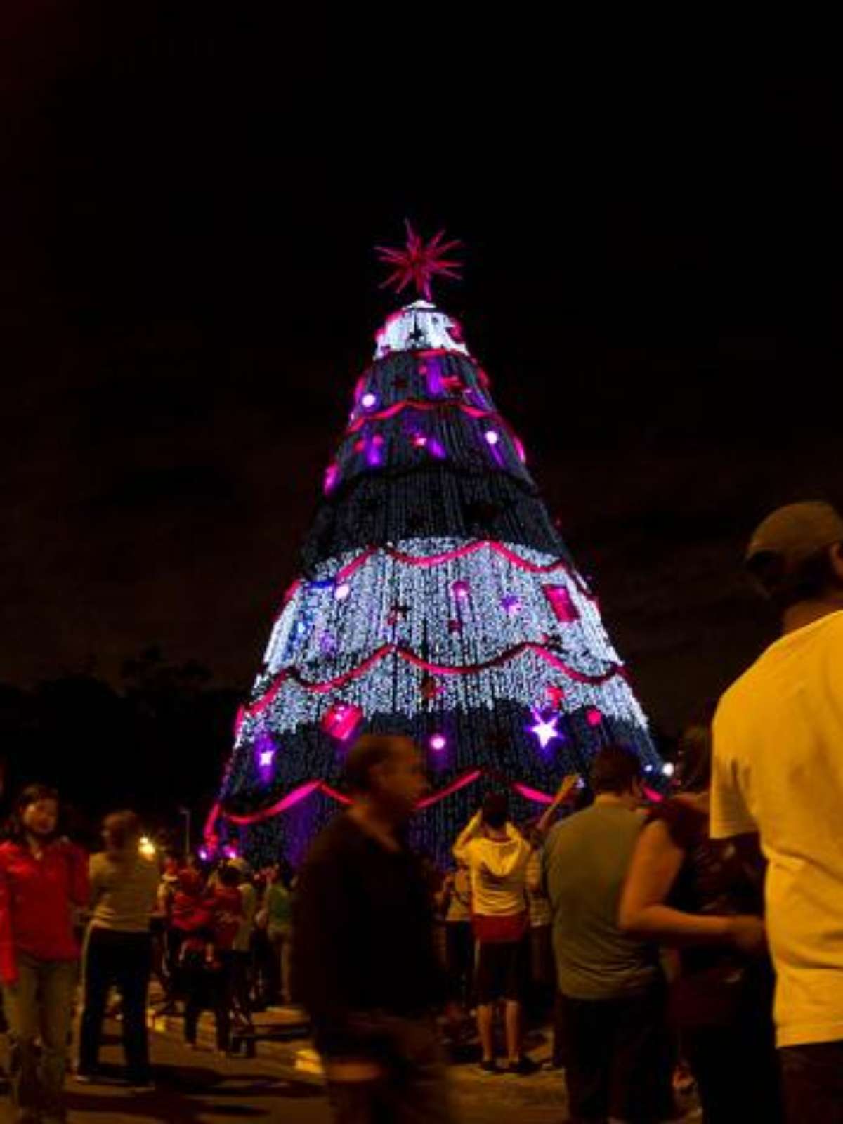 Com 57 metros, árvore de Natal do Ibirapuera é inaugurada e é a maior da  cidade de SP; entrada é gratuita, Guia SP