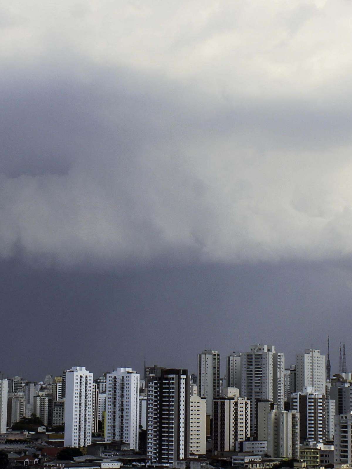 Felipe Silva Rodrigues - São Bernardo do Campo, São Paulo, Brasil