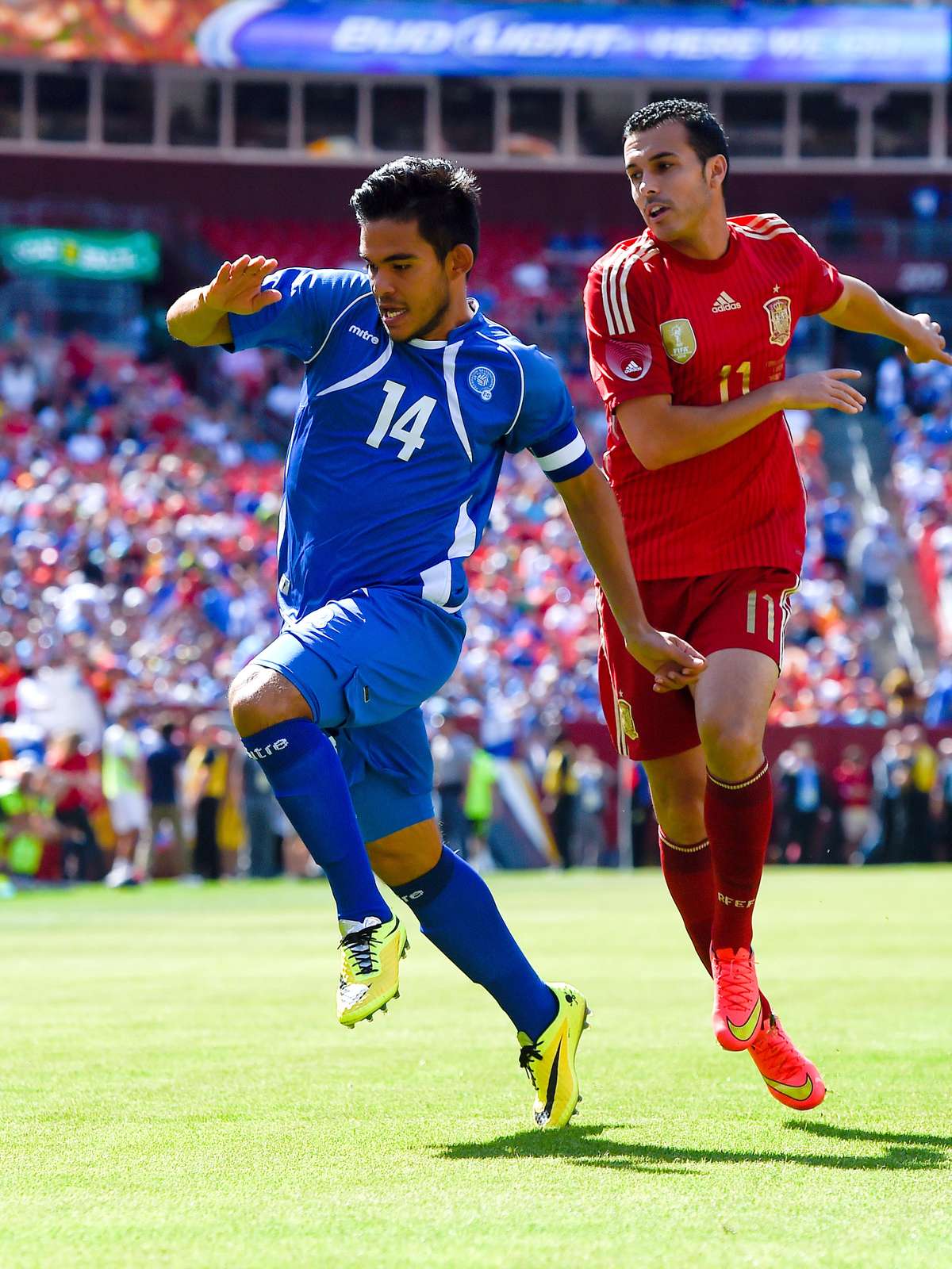 campo de jogo de futebol campo futebol azul e vermelho baixe e