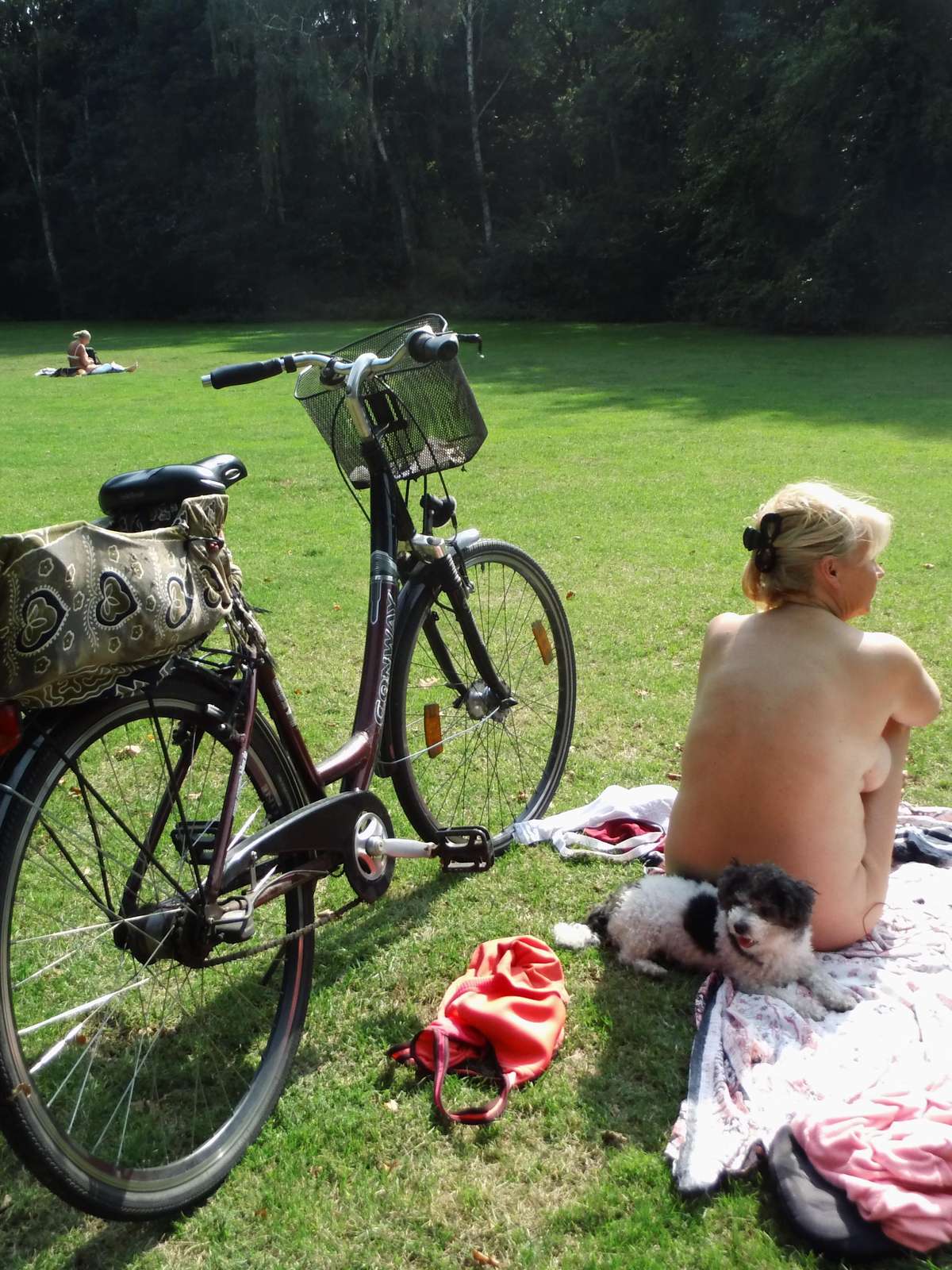 Nudistas aproveitam altas temperaturas em parque de Berlim