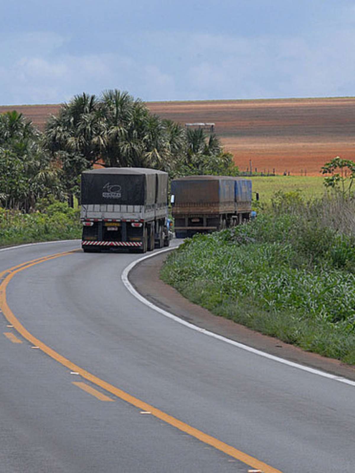 Frases de caminhão  Frases de caminhão, Imagens de caminhão, Frases  parachoque de caminhão