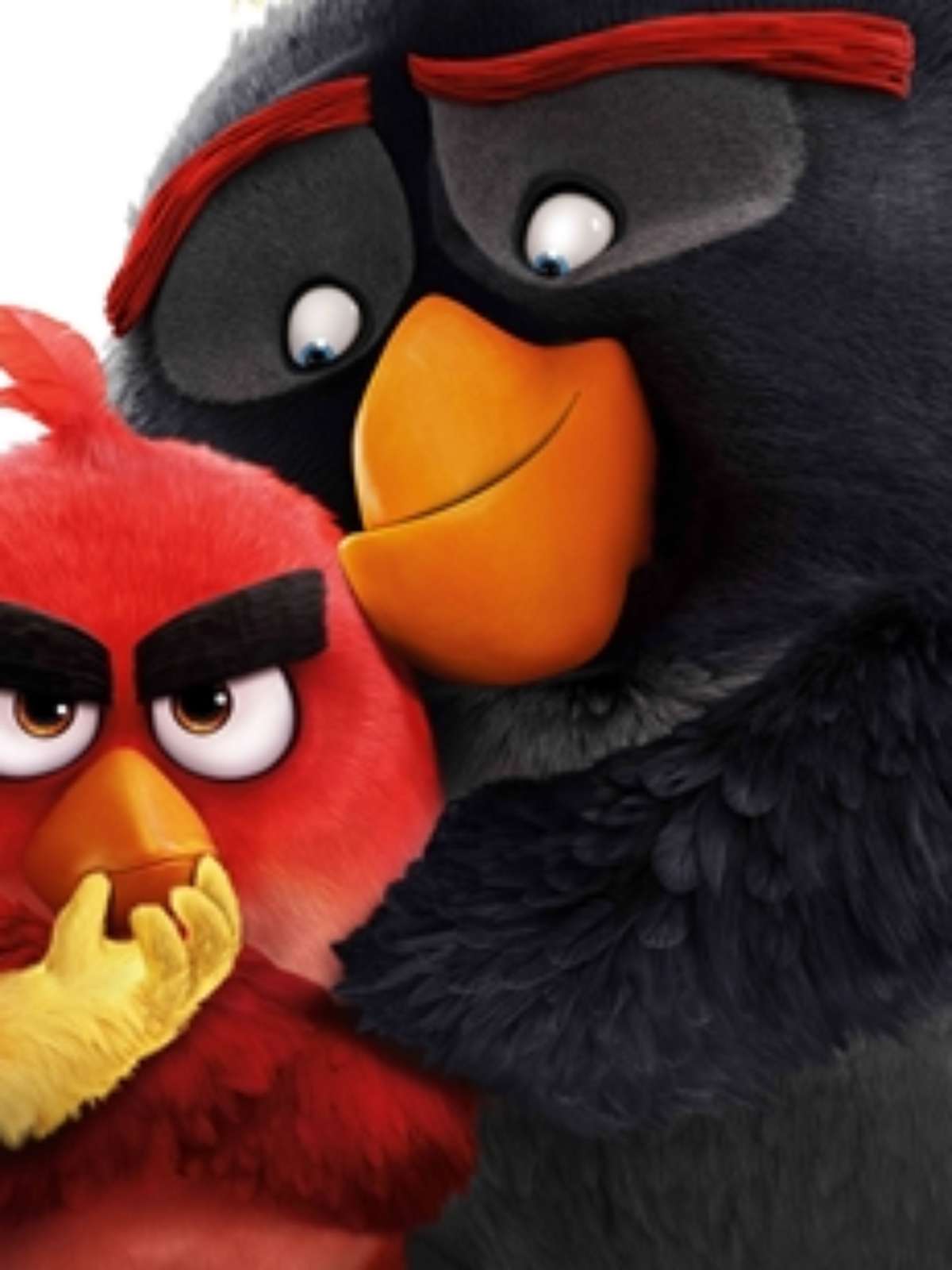 Angry Birds - O Filme - Filme 2016 - AdoroCinema