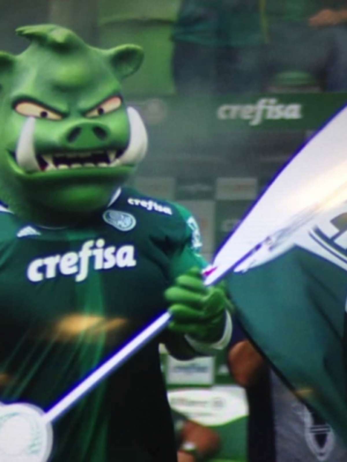 Boneco Mascote de Futebol Javali Palmeiras