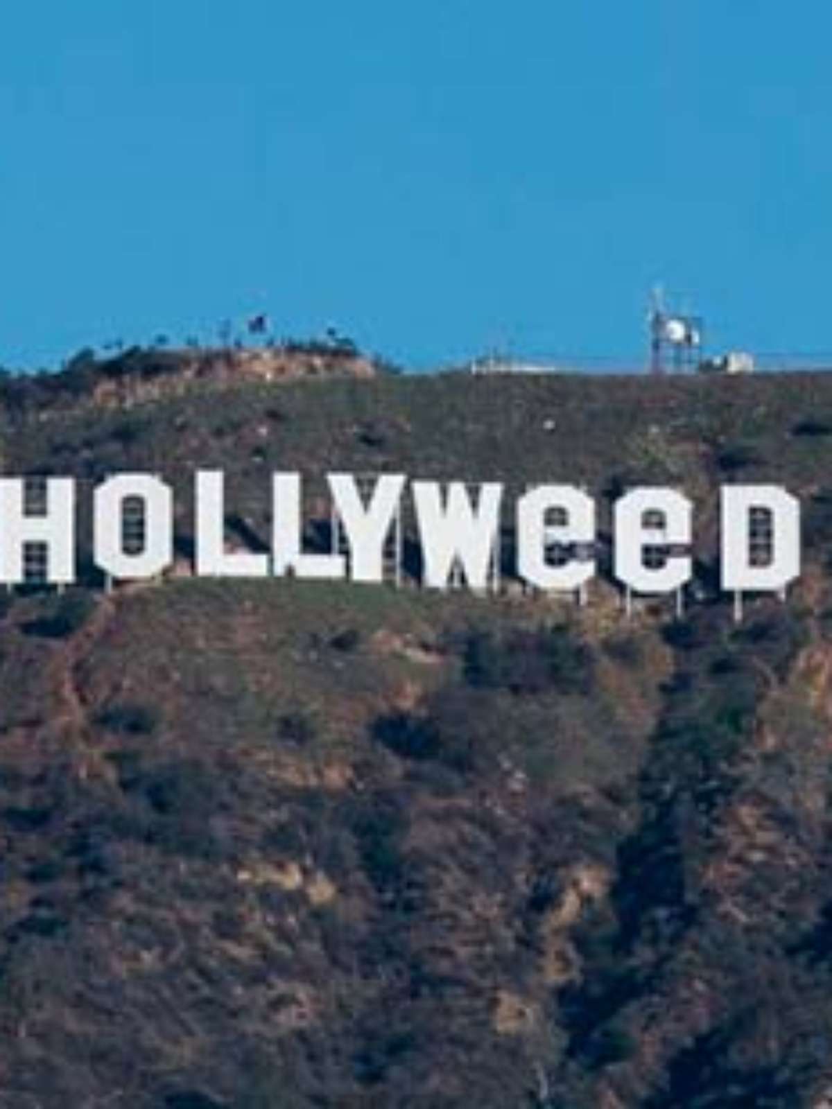 Letreiro de Hollywood é alvo de vandalismo e vira 'Hollyweed' no