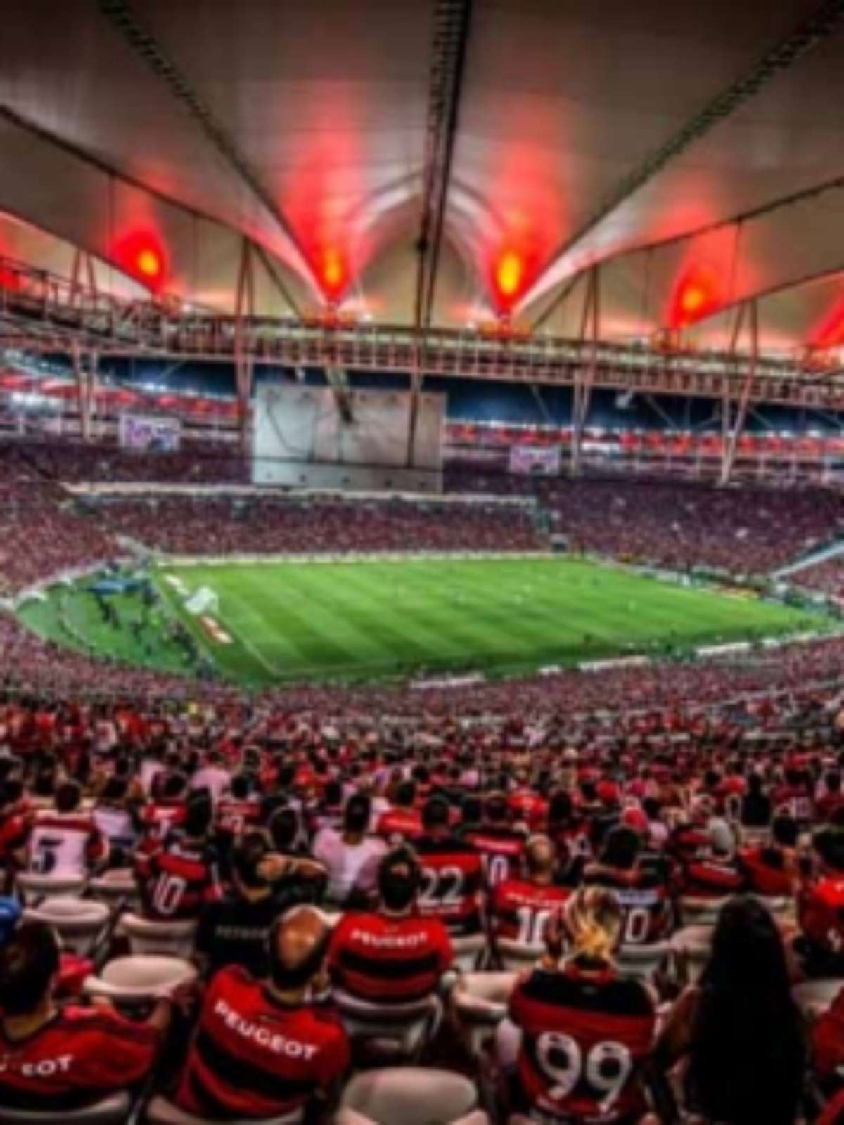 Torcida do Flamengo compra mais da metade dos ingressos para jogo nos  Estados Unidos - ISTOÉ Independente