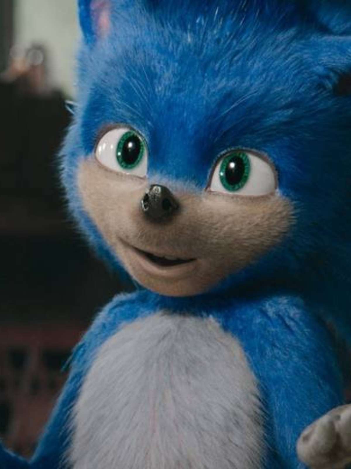 Versão digital de Sonic: O Filme chega ao Brasil na quarta-feira - Pipoca  Moderna