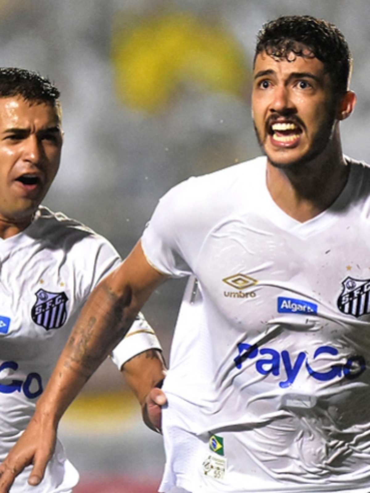 Os sete pecados capitais que podem rebaixar o Santos - Lance!