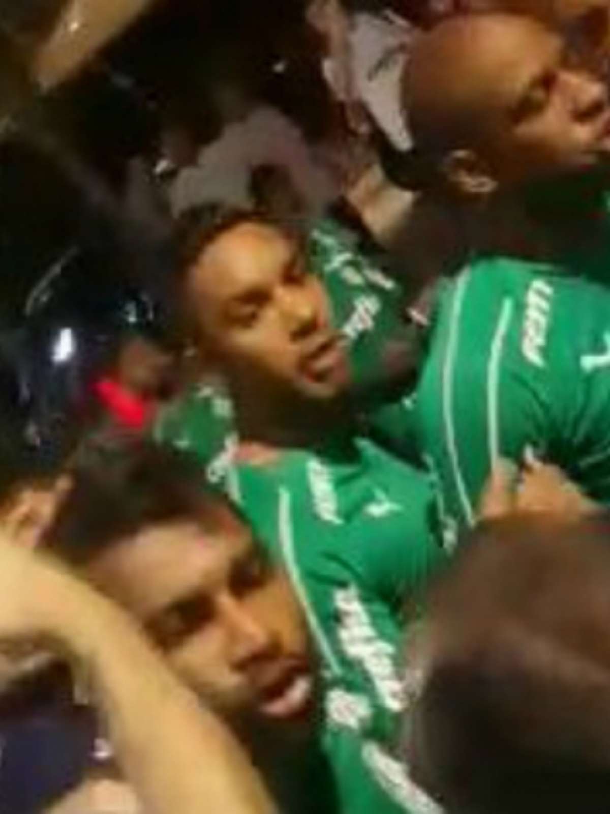 Festa na madrugada: jogadores do Palmeiras são recebidos por torcida no CT