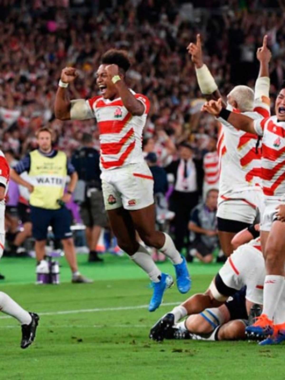 Copa do Mundo de Rugby: confira os jogos que agitam o 2º dia do torneio
