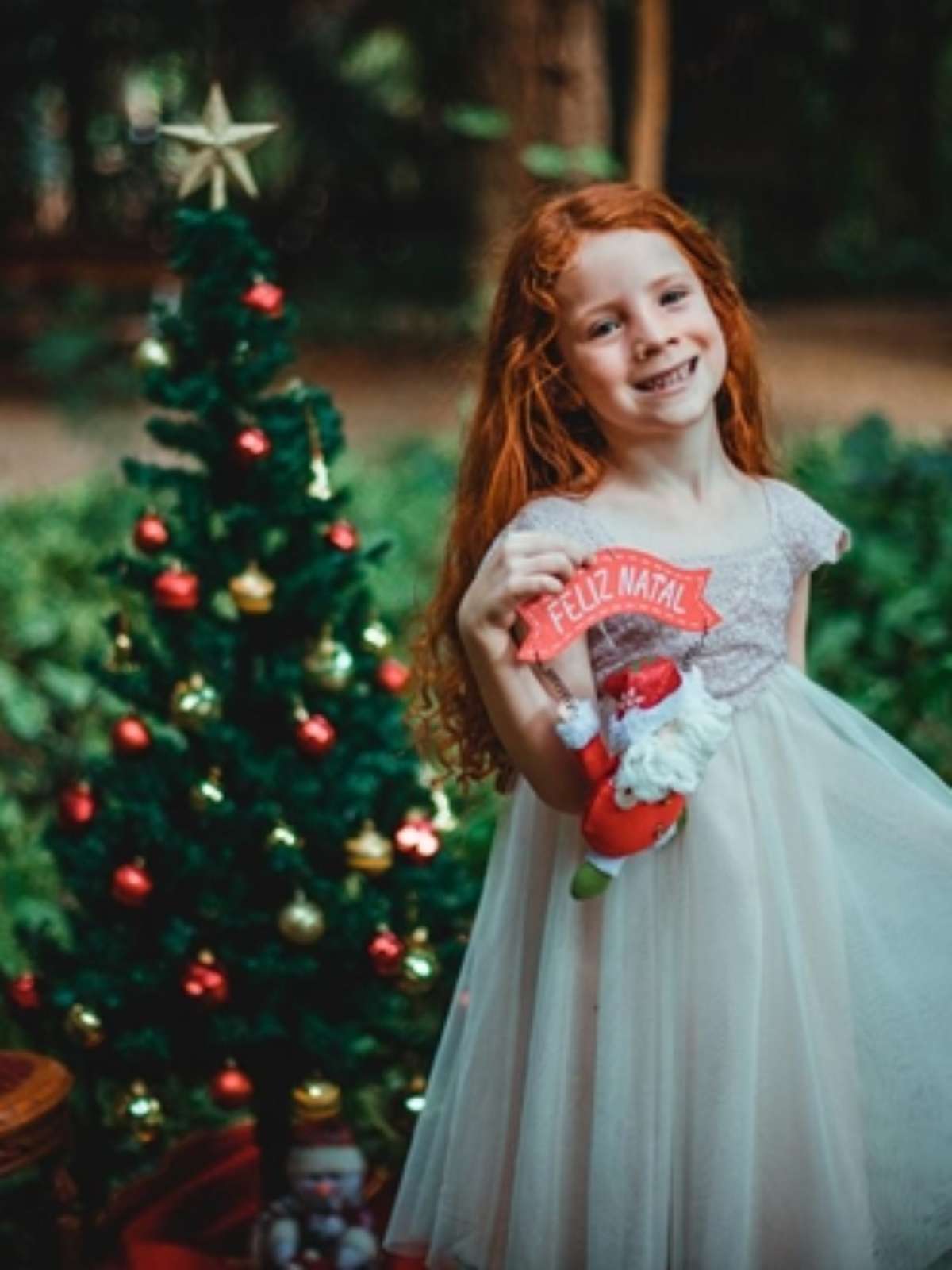 Aniversário Infantil - Ensaio de Natal - Familia Nemer - São Paulo - SP