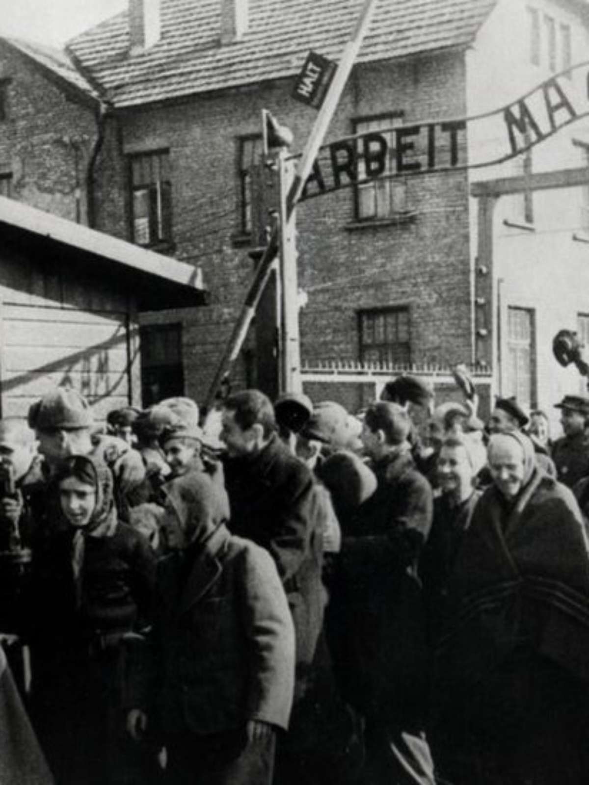 Descoberta de Auschwitz foi surpresa, diz libertador ucraniano - BBC News  Brasil