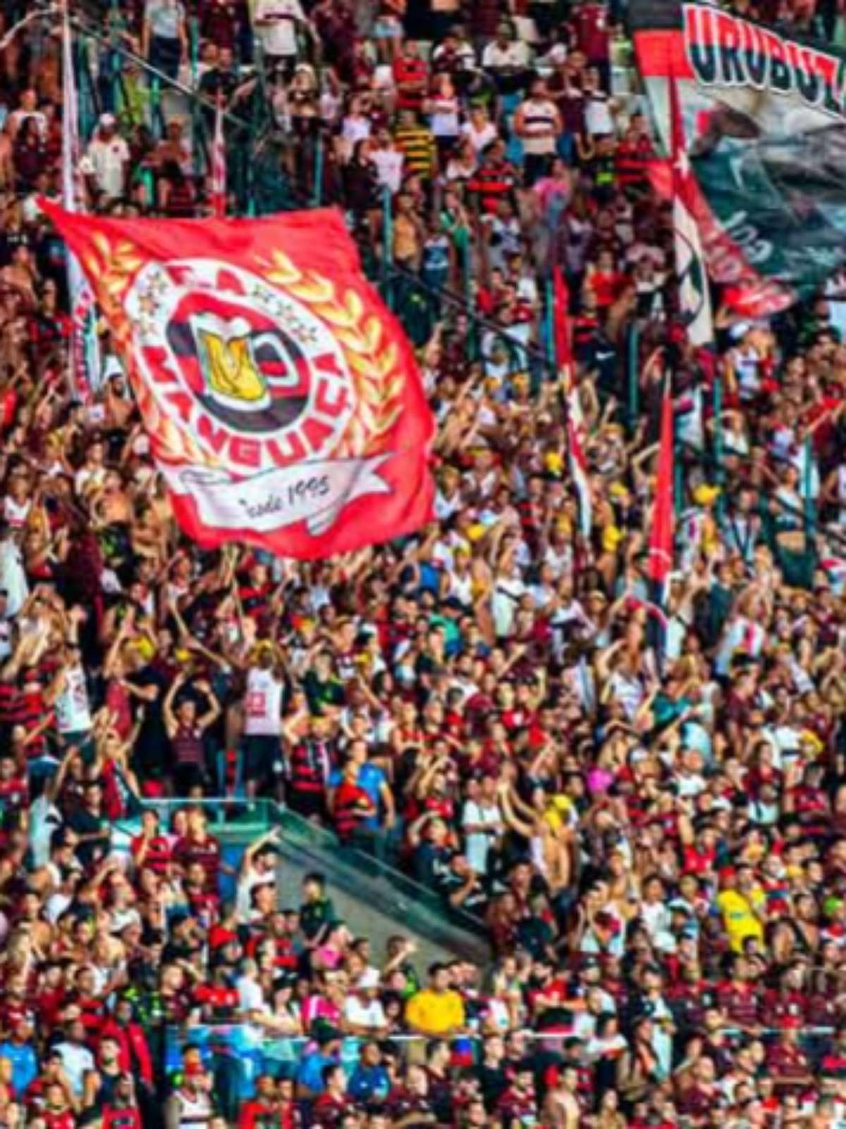 Torcida do Flamengo compra mais da metade dos ingressos para jogo nos  Estados Unidos - ISTOÉ Independente