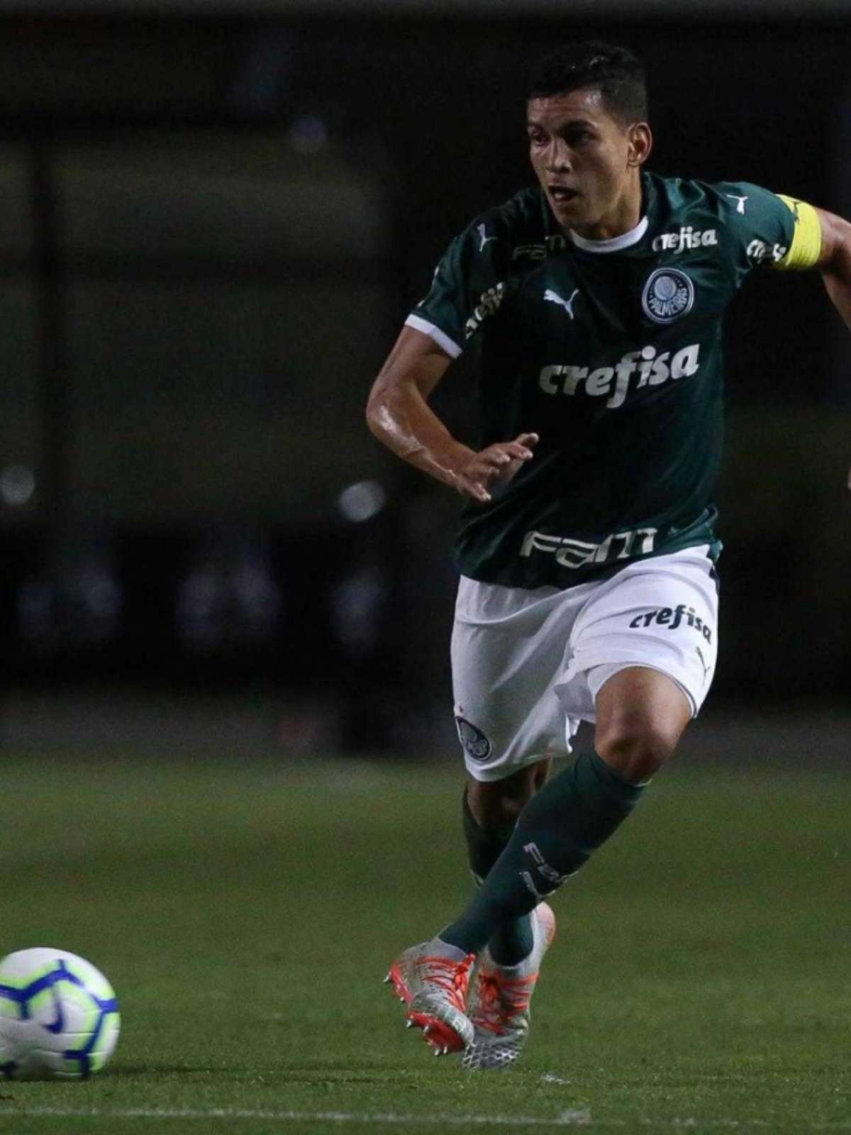 Base forte: Crias da Academia têm participação direta na conquista da  Libertadores – Palmeiras
