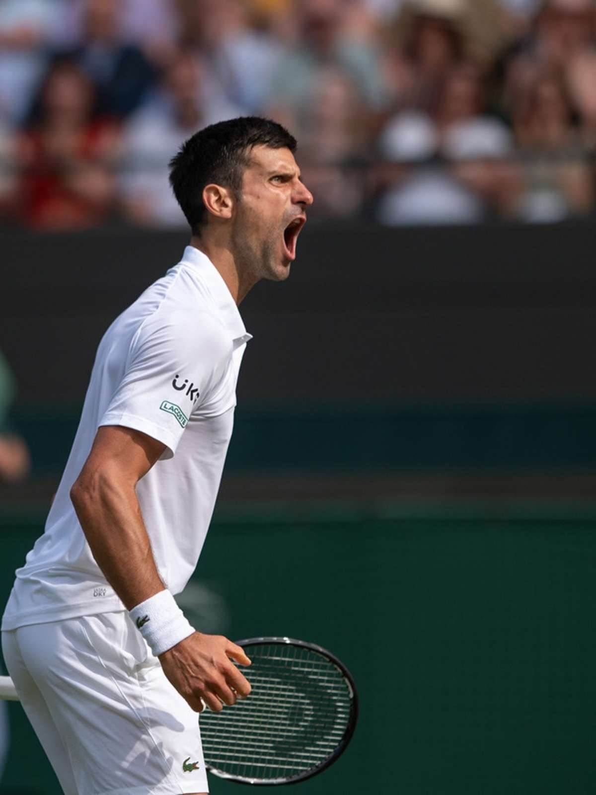 Em Wimbledon, Alcaraz supera Djokovic e é novo campeão do torneio