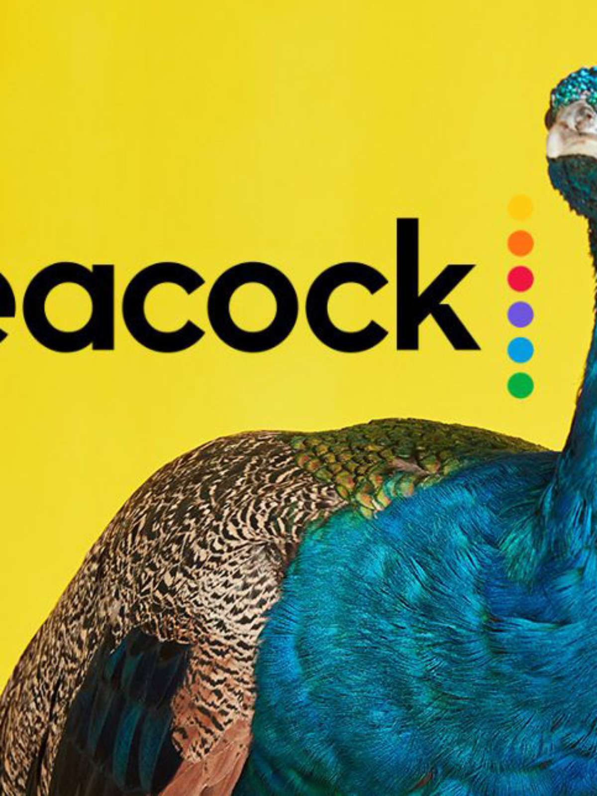Plataforma Peacock revela planos de expansão internacional