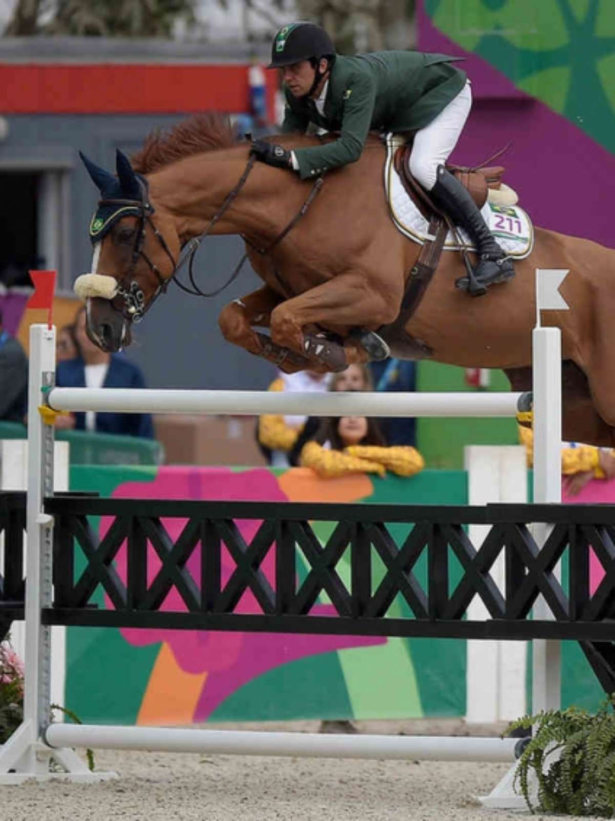 Agressão a cavalo nos Jogos Olímpicos reacende debate sobre