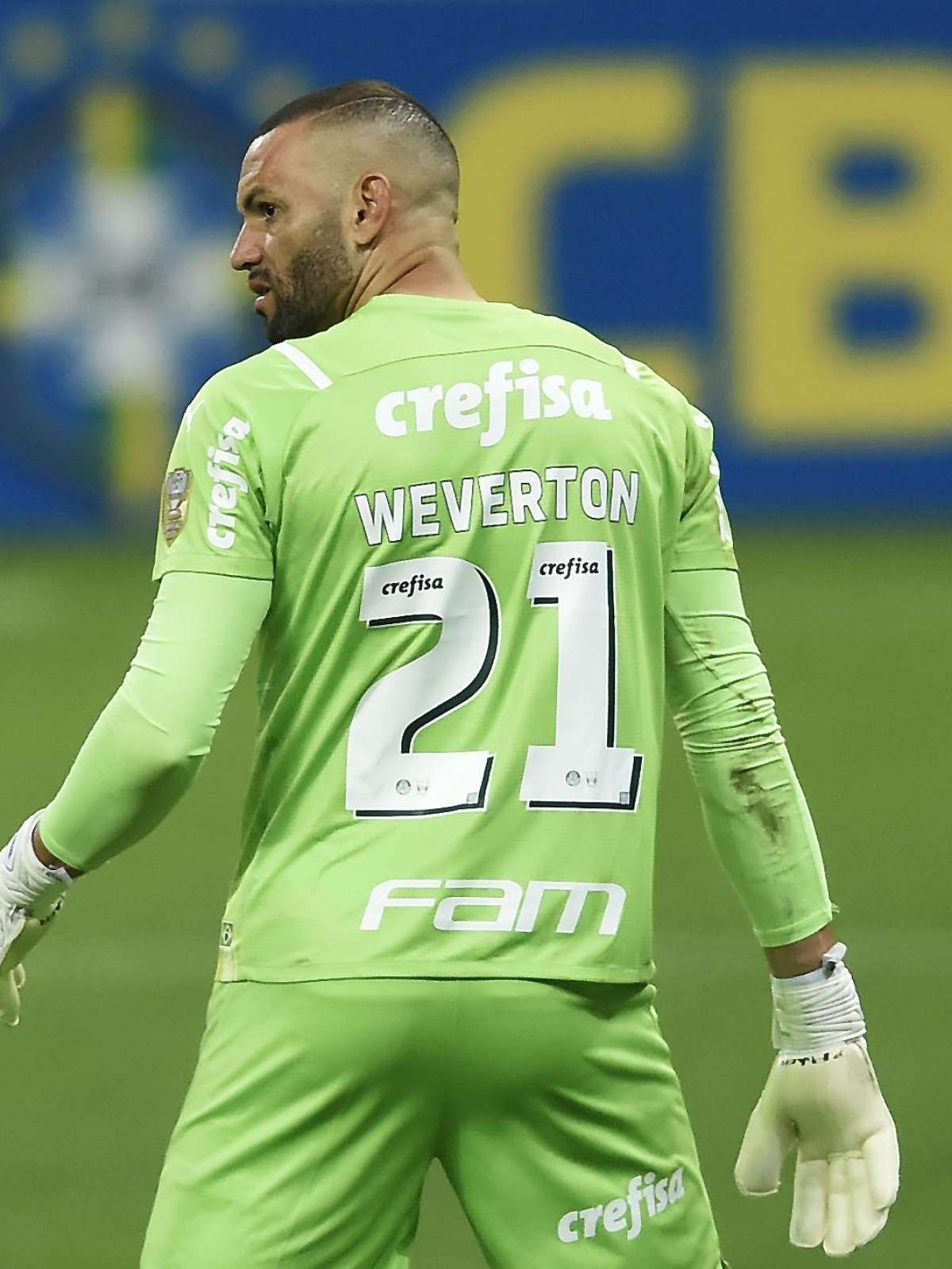 Weverton Melhor Goleiro do Brasil