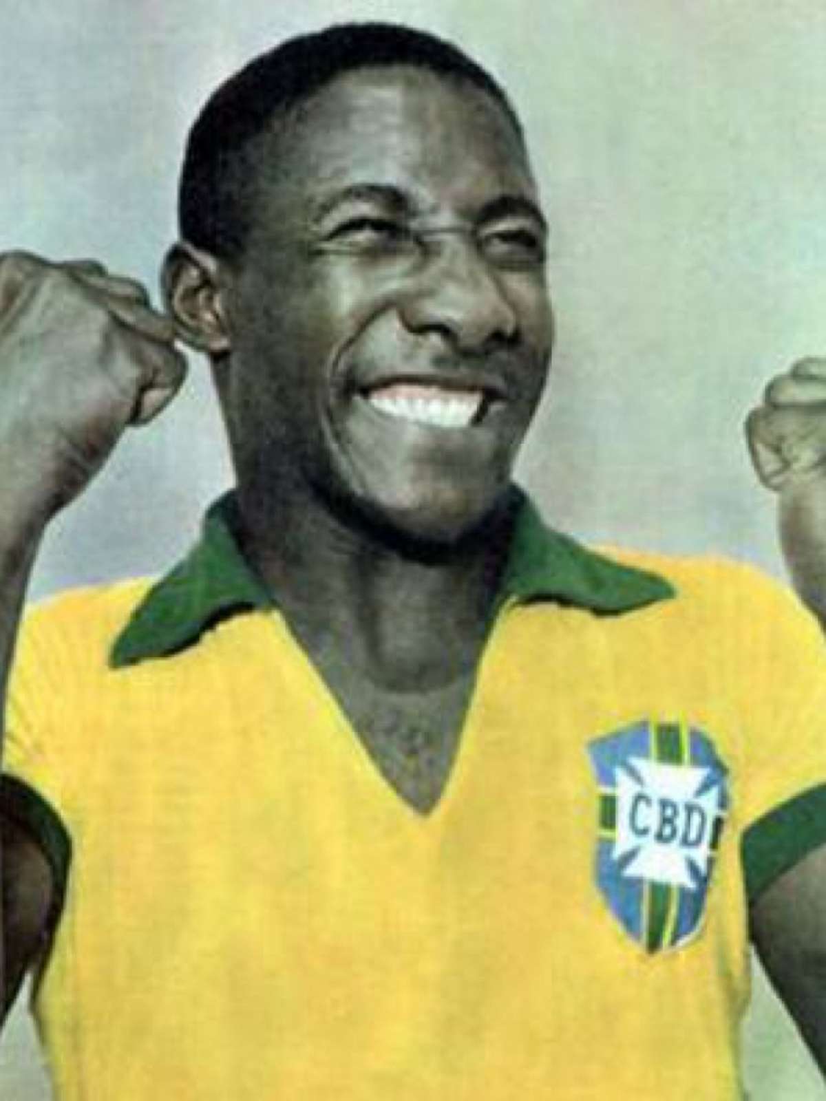 Livros grátis sobre Djalma Santos para os visitantes — Museu do Futebol