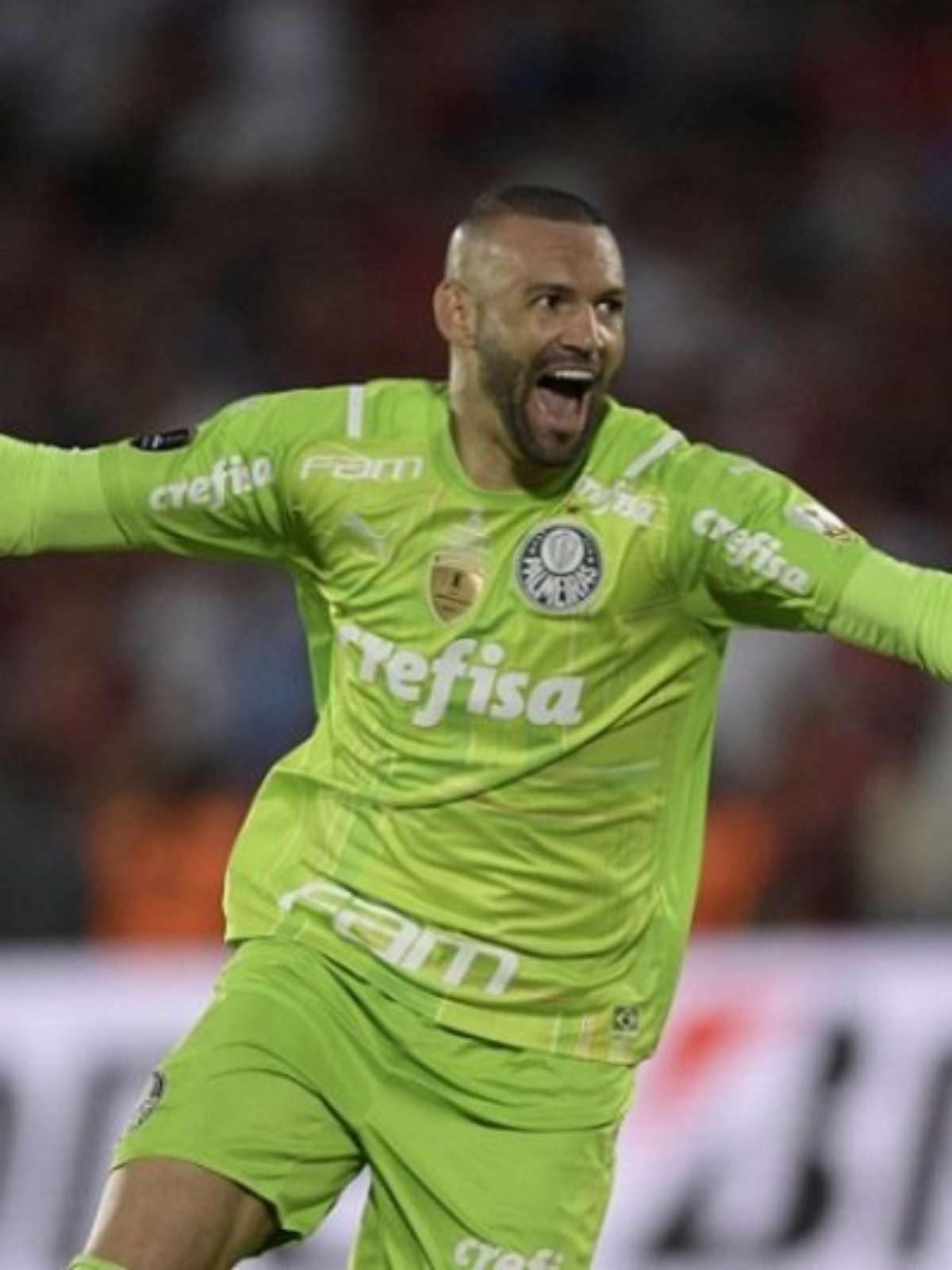 Weverton, do Palmeiras, passa Ceni e vira jogador com mais vitórias na  Libertadores