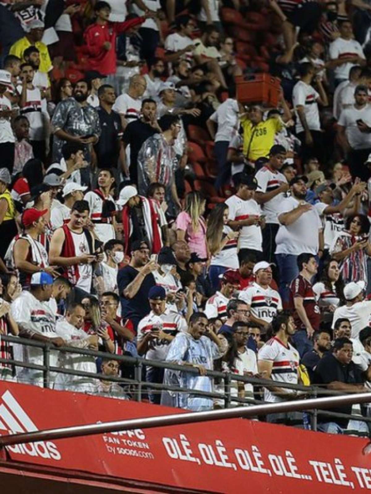 CAMAROTE STADIUM - SPFC x BOTAFOGO é na Total Acesso.