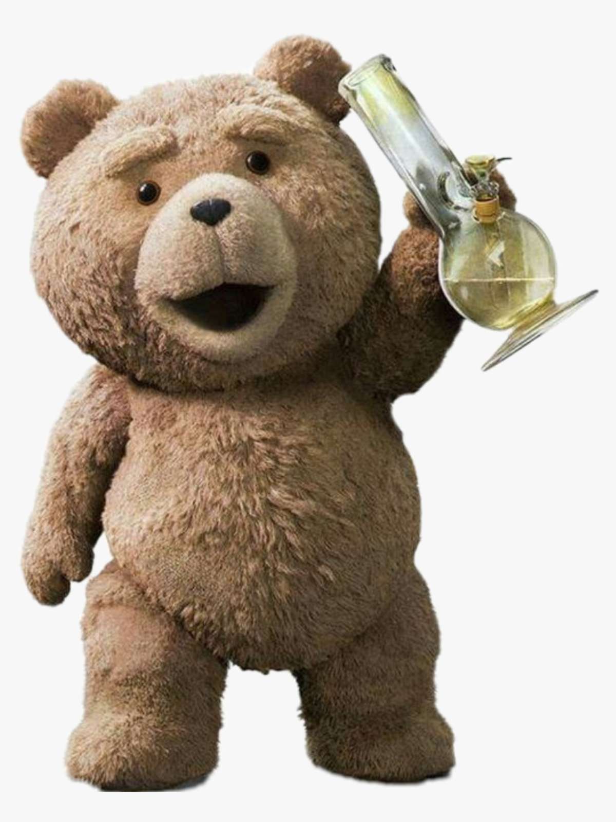 O filme do urso 2 é uma comédia sobre o urso.