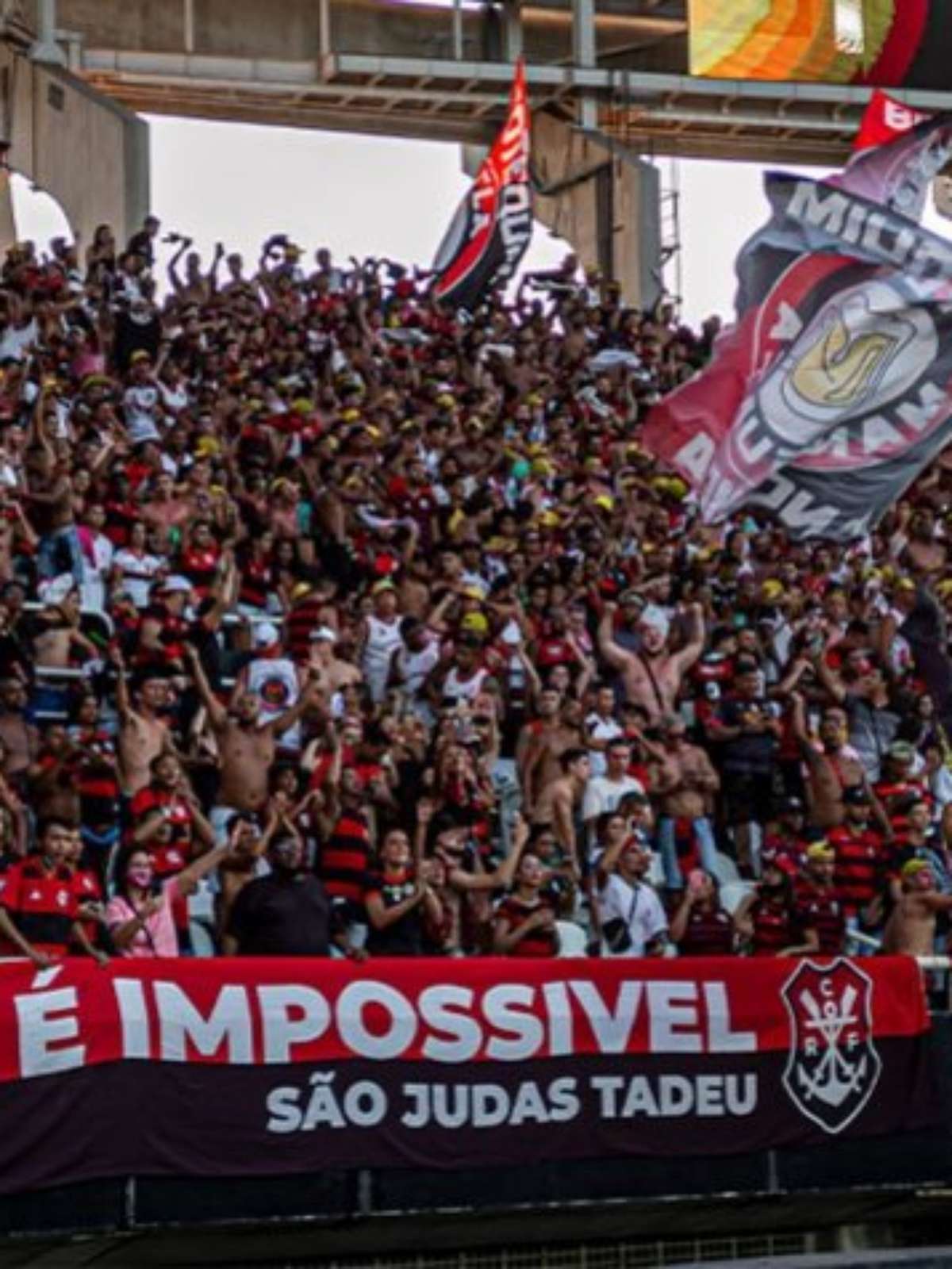 Torcida do Flamengo dá show e compra 50% da carga total de ingressos para  jogo contra Orlando City nos EUA