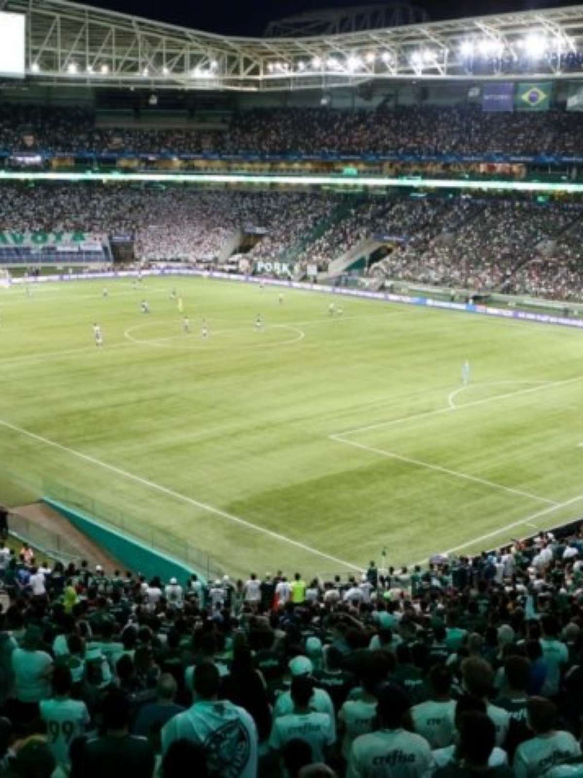 Palmeiras x Goiás: ingressos mais baratos e gratuidade para crianças de 0 a  5 anos – Palmeiras