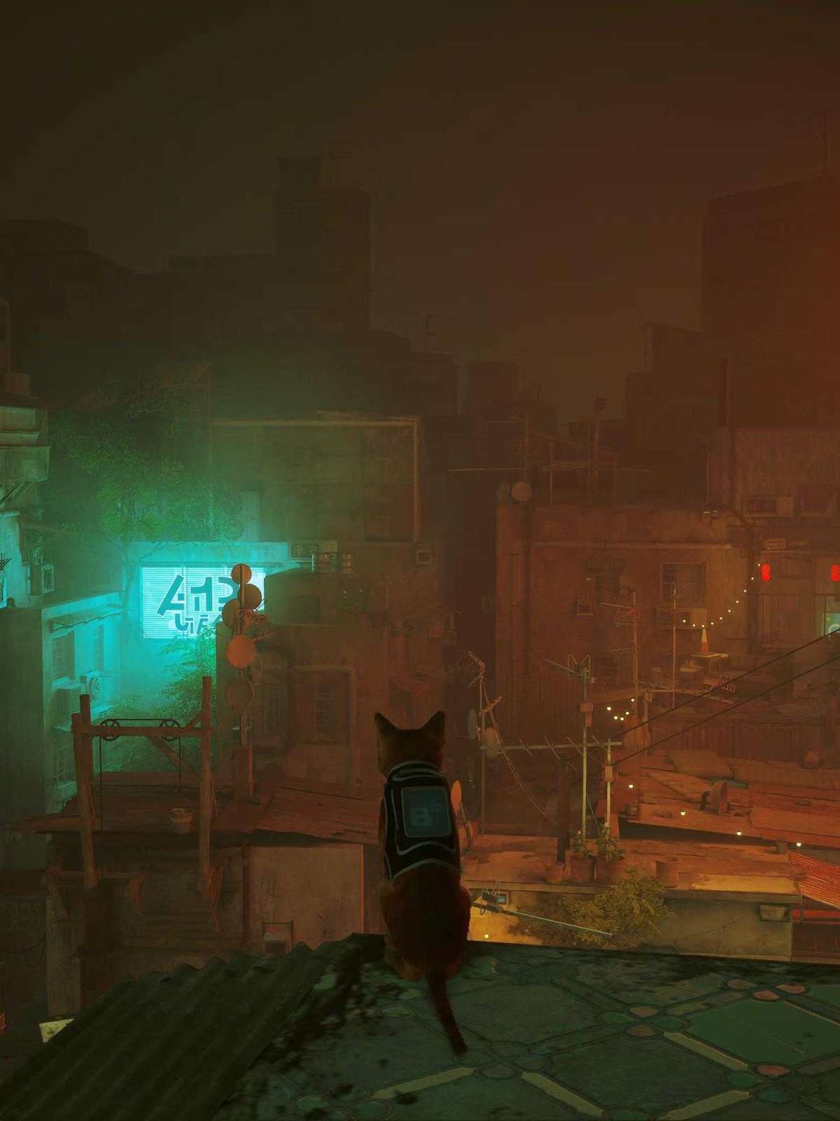 Stray: o jogo para humanos que é um sucesso entre os gatos