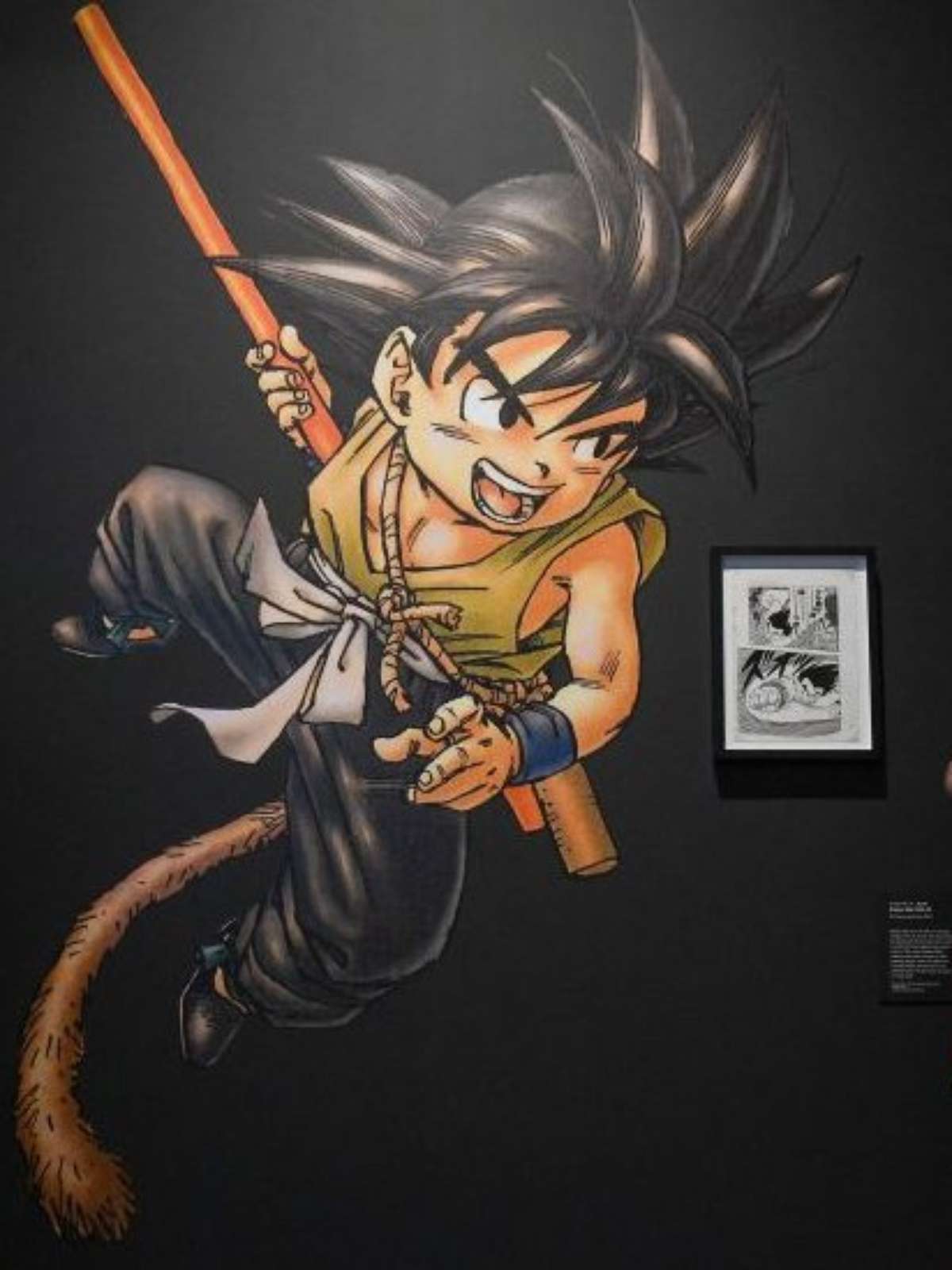 Um desenho animado de um menino com o título dragon ball na capa