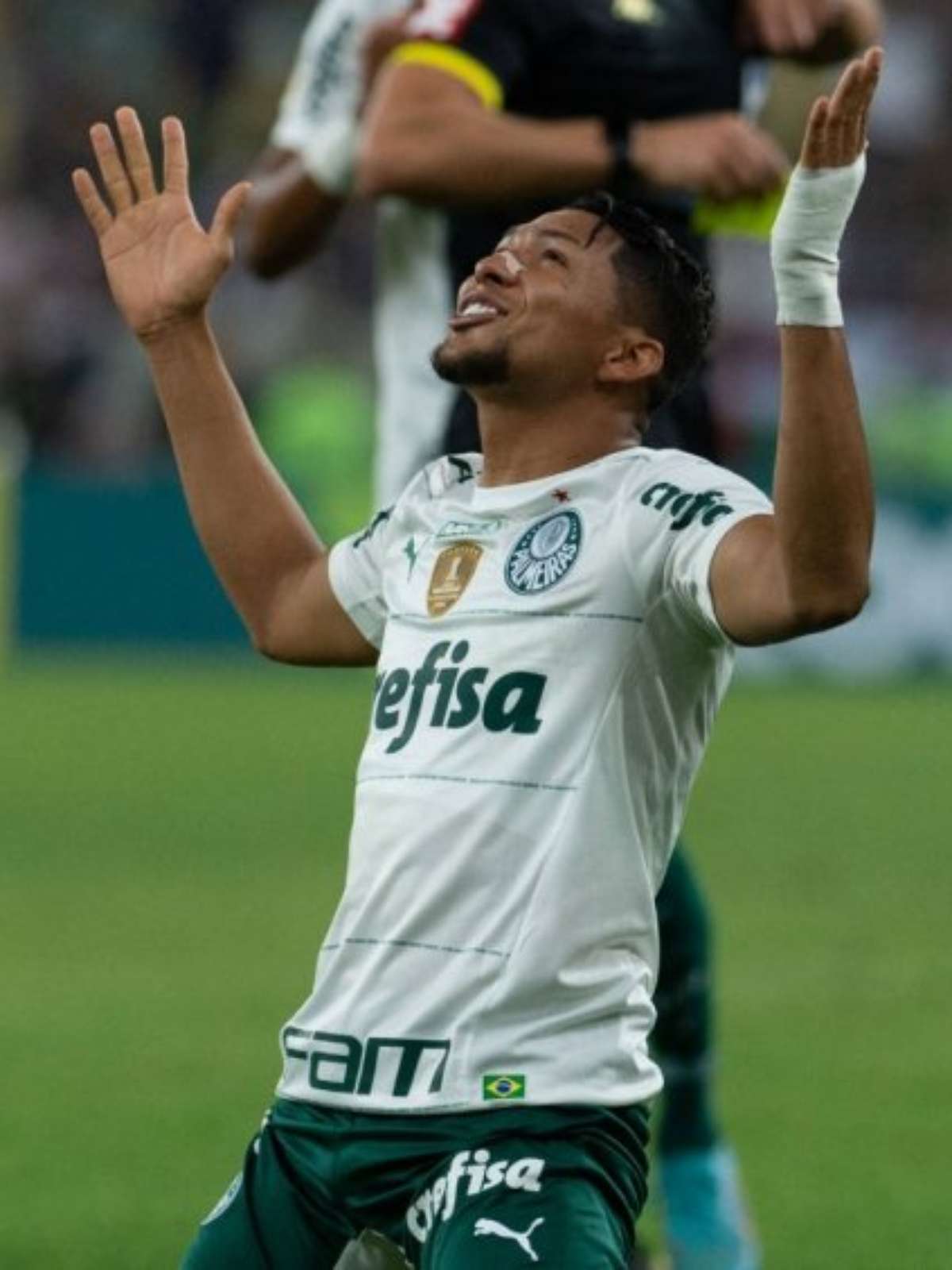 Palmeiras presta homenagem pelos 200 jogos de Rony com a camisa do clube:  'Não tem preço' - ISTOÉ Independente