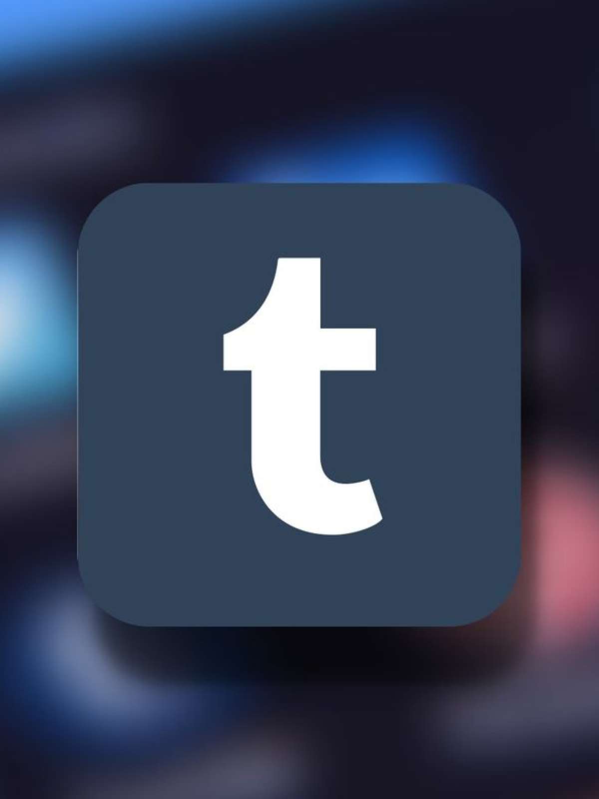 Como conseguir o selo de conta verificada no TikTok - Canaltech