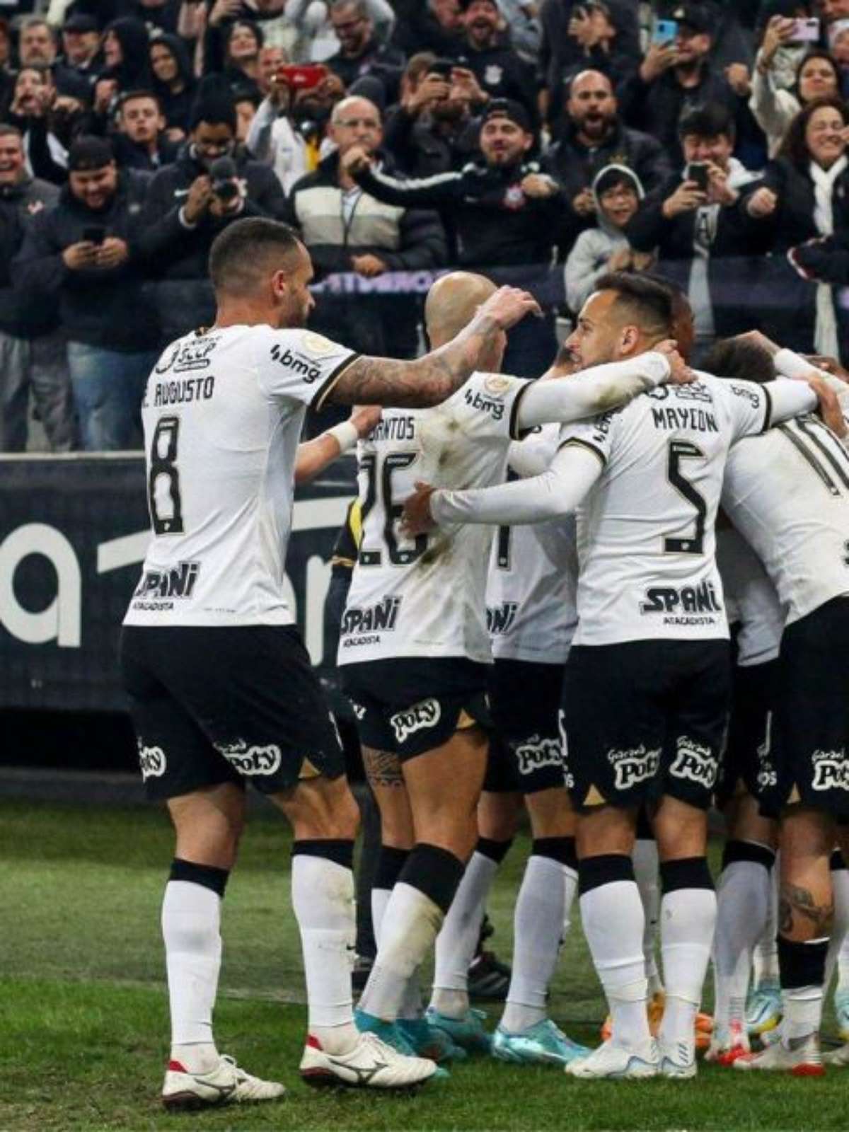 Corinthians time que eu torço, o melhor time do Brasil .