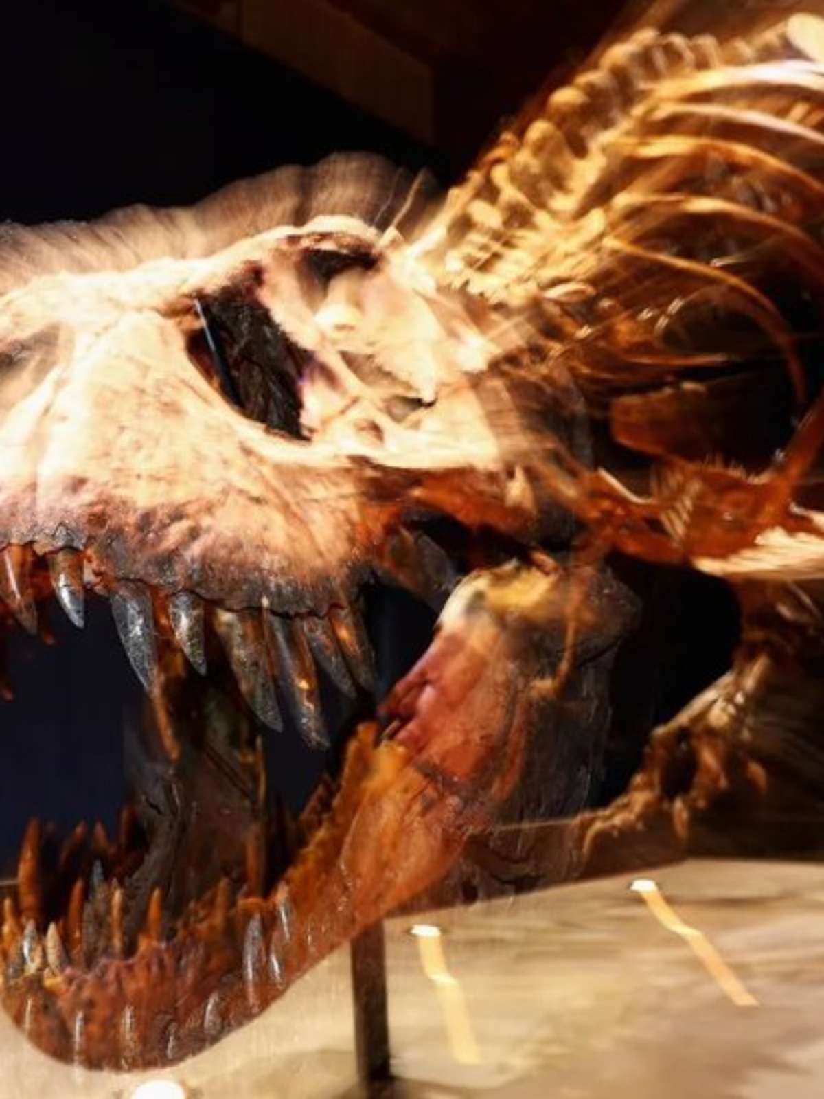 Você conseguiria correr mais rápido que um Tiranossauro Rex?