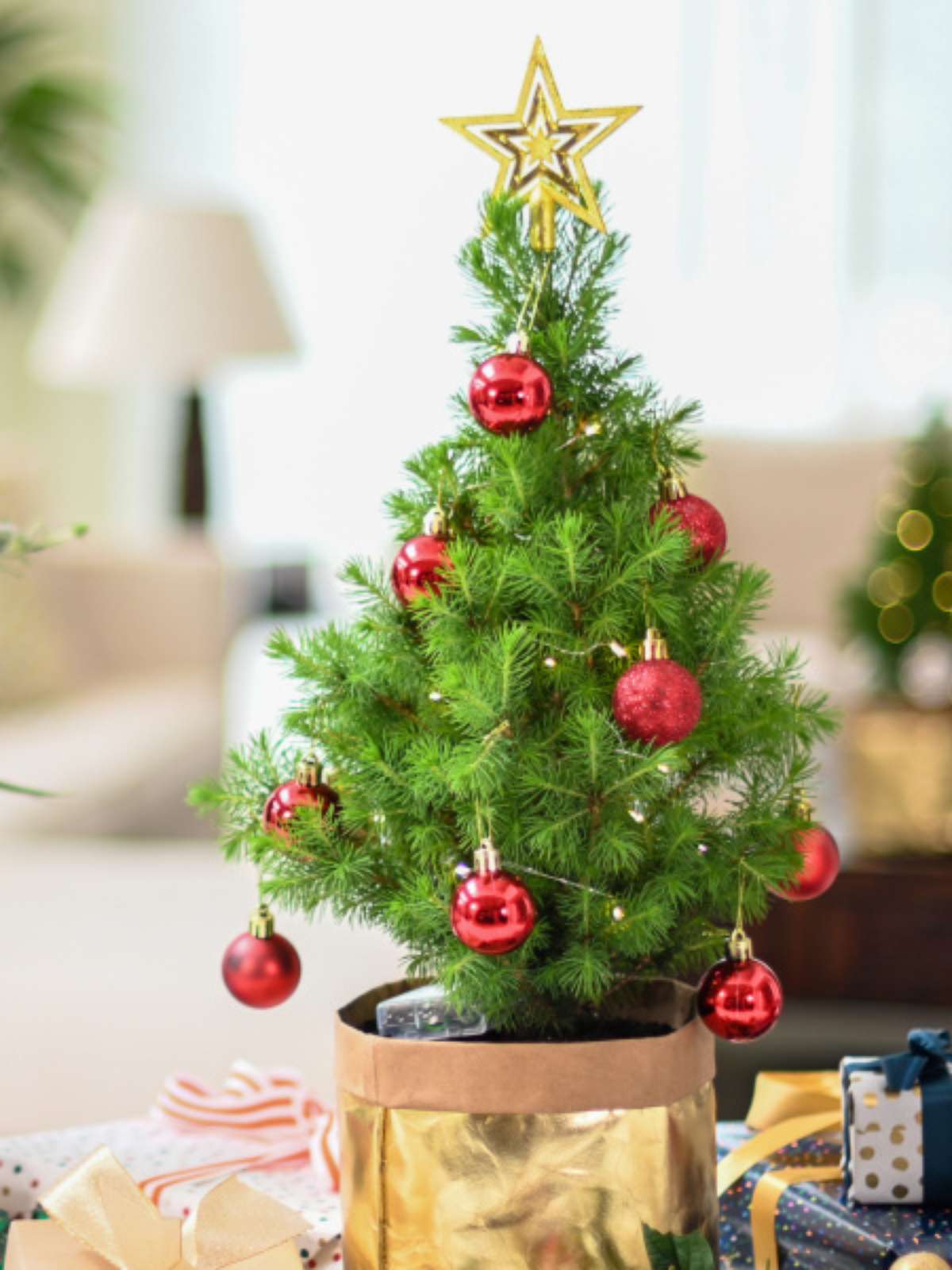 Árvore de Natal pequena: 31 opções para quem não tem espaço!