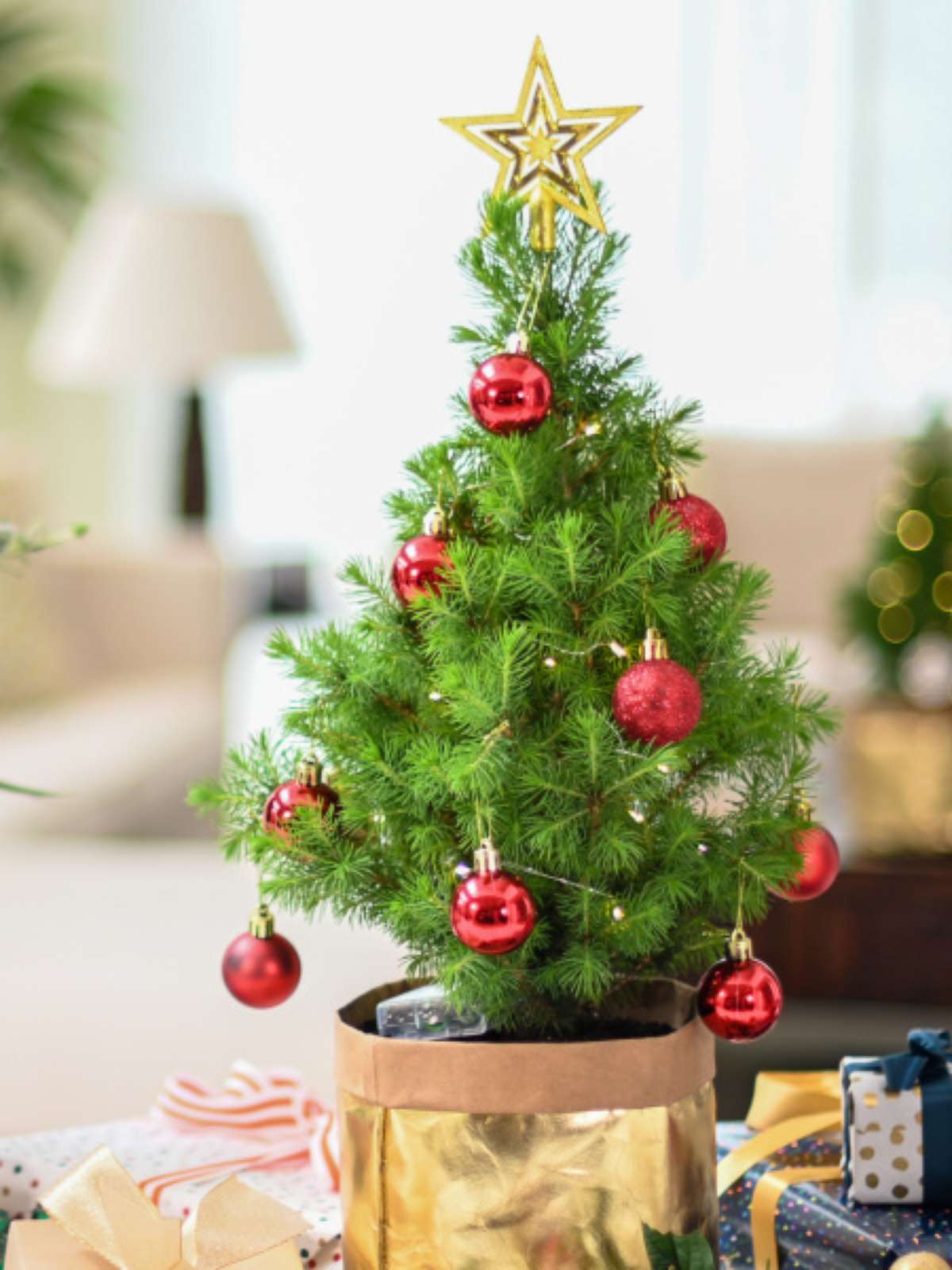 Mini Árvore de Natal: Como Fazer, +64 Ideias Para Decorar Sua Árvore Pequena