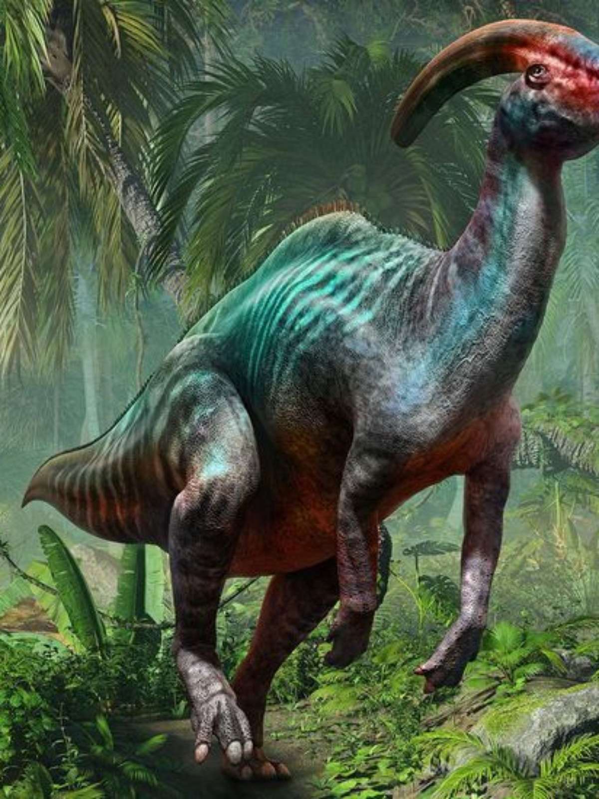 Dinossauros Tem Ouvido? #fauna #biologia #biologiadivertida