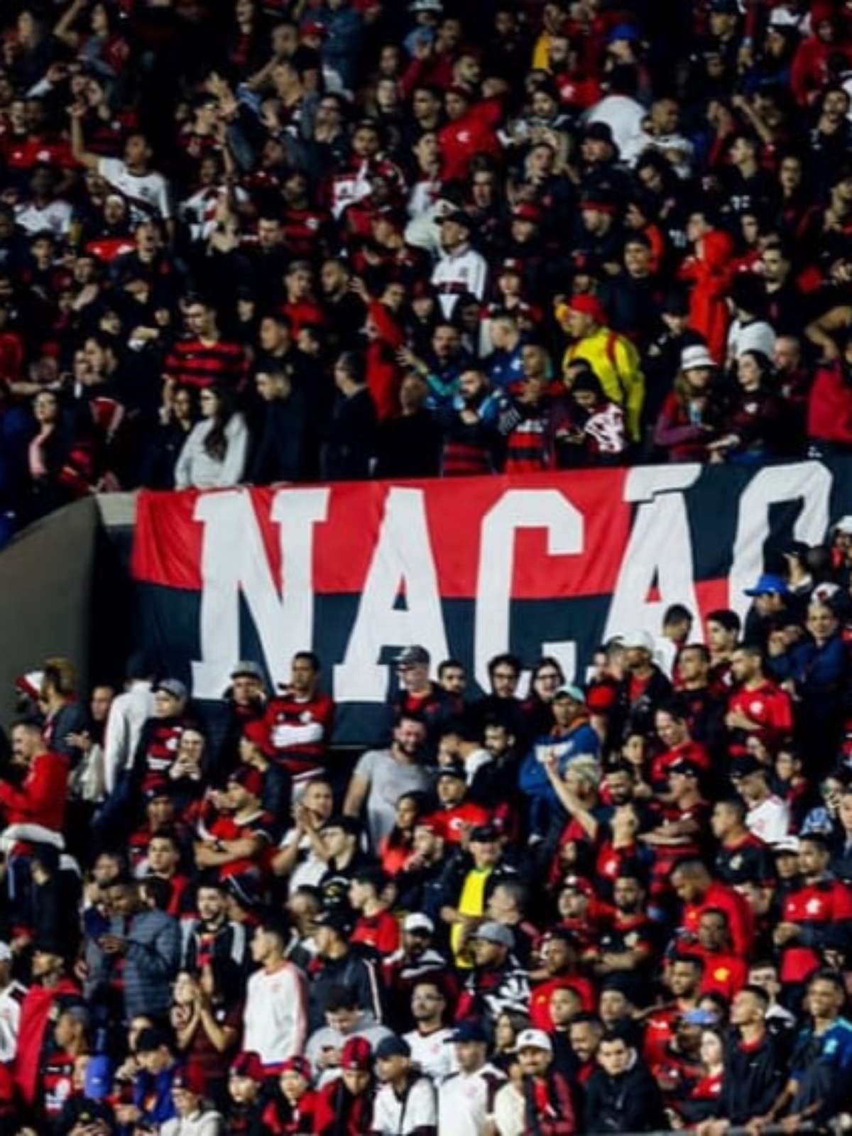 Torcida do Flamengo canta Palmeiras não tem mundial 