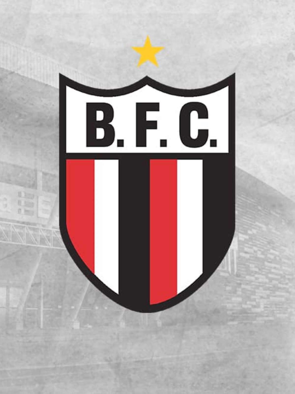 Botafogo Futebol Clube / Orgulho de Ribeirão Preto - Botafogo Futebol SA