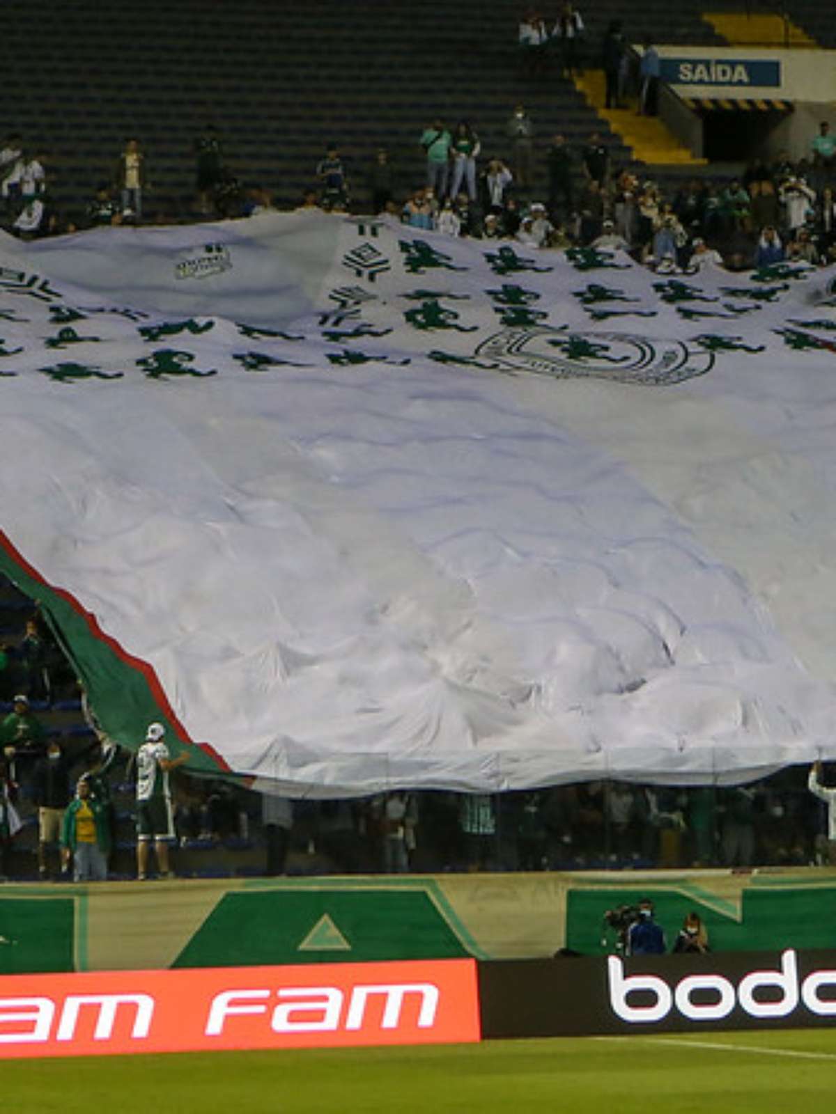 Segunda casa? Palmeiras tem jogos históricos e ótimo retrospecto na Arena  Barueri - ISTOÉ Independente