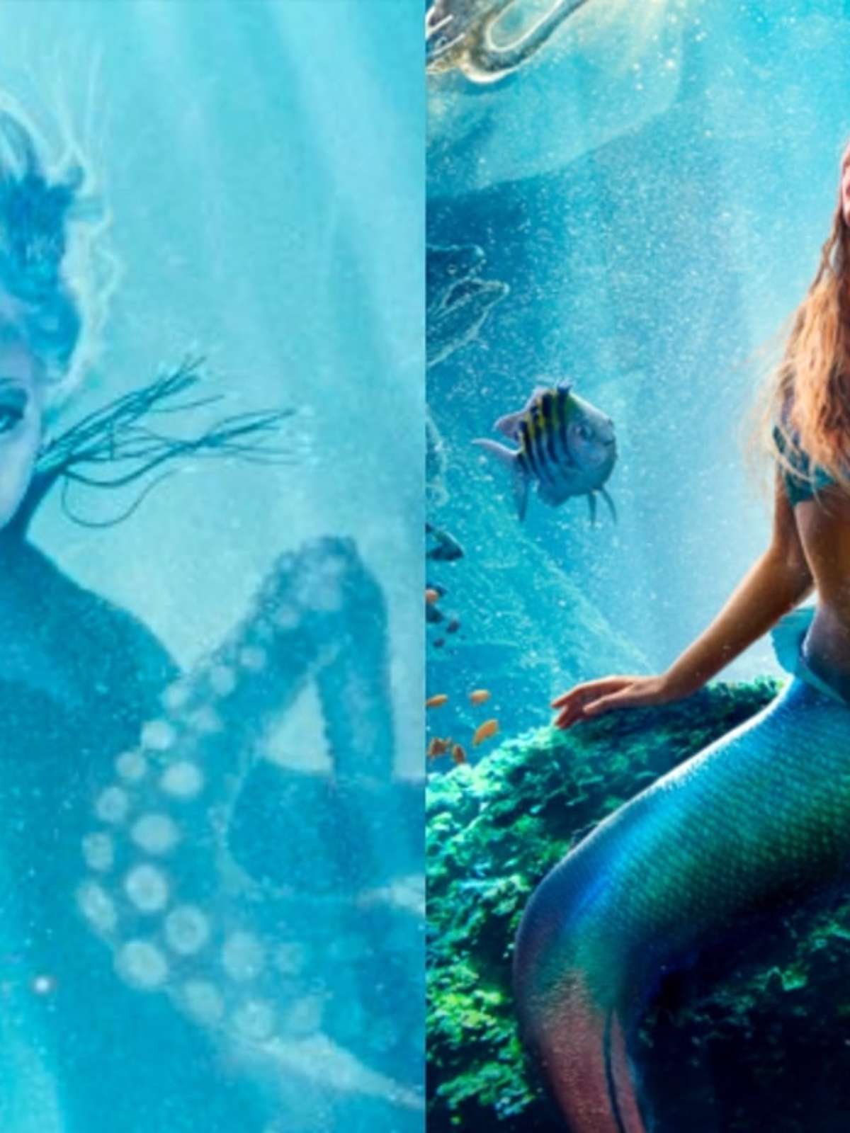 Verdadeira Princesa Ariel Halle Bailey De 'A Pequena Sereia': Quem é
