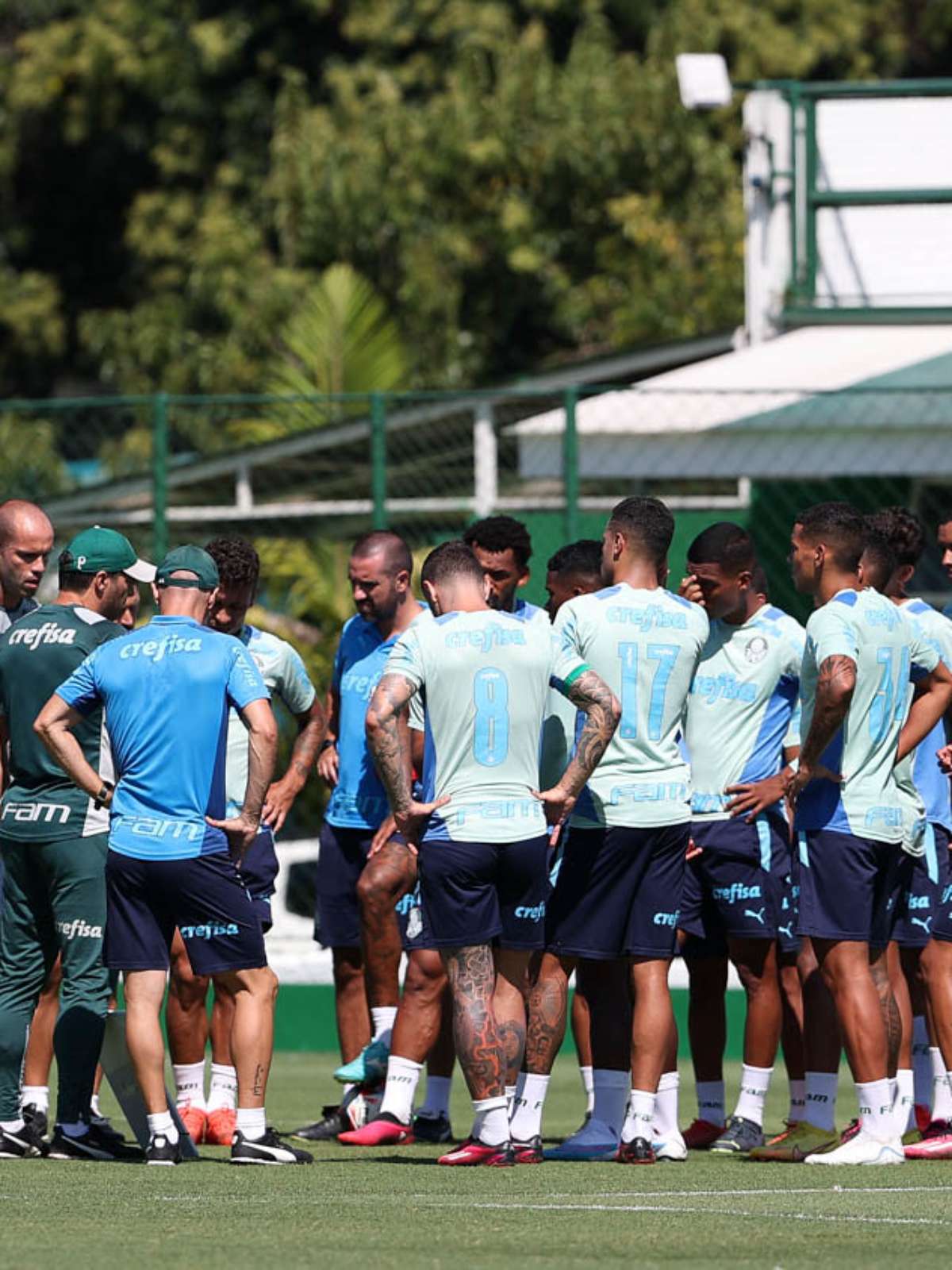 Palmeiras terá maratona com Libertadores e Brasileiro