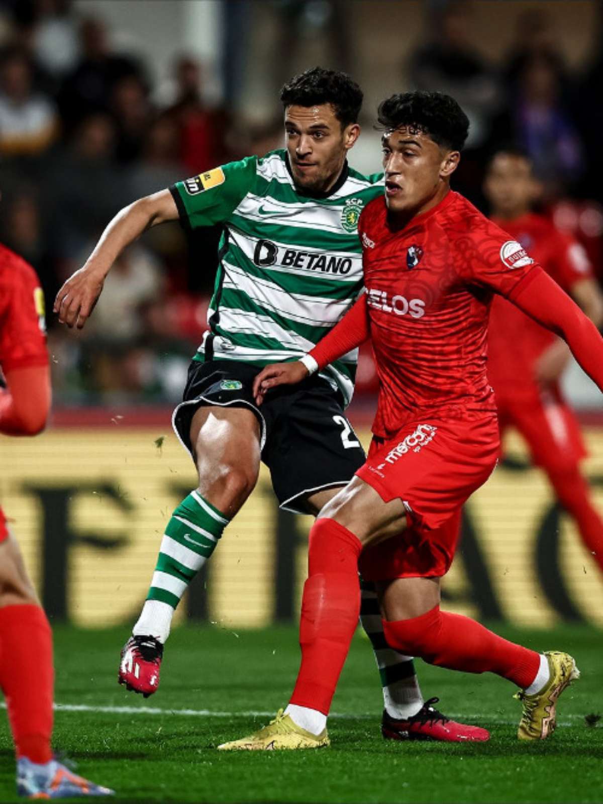 Sporting CP - ⏹️ Existe melhor maneira de começar a semana