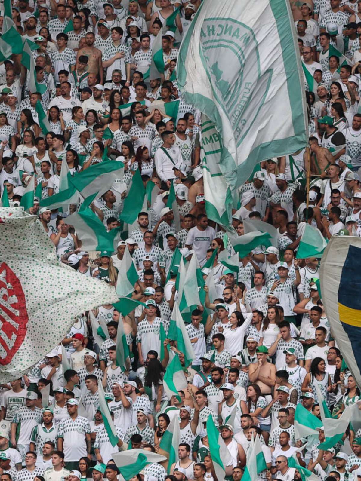 Venda de ingressos para duelo decisivo com Água Santa no Allianz Parque  pela final do Paulista – Palmeiras