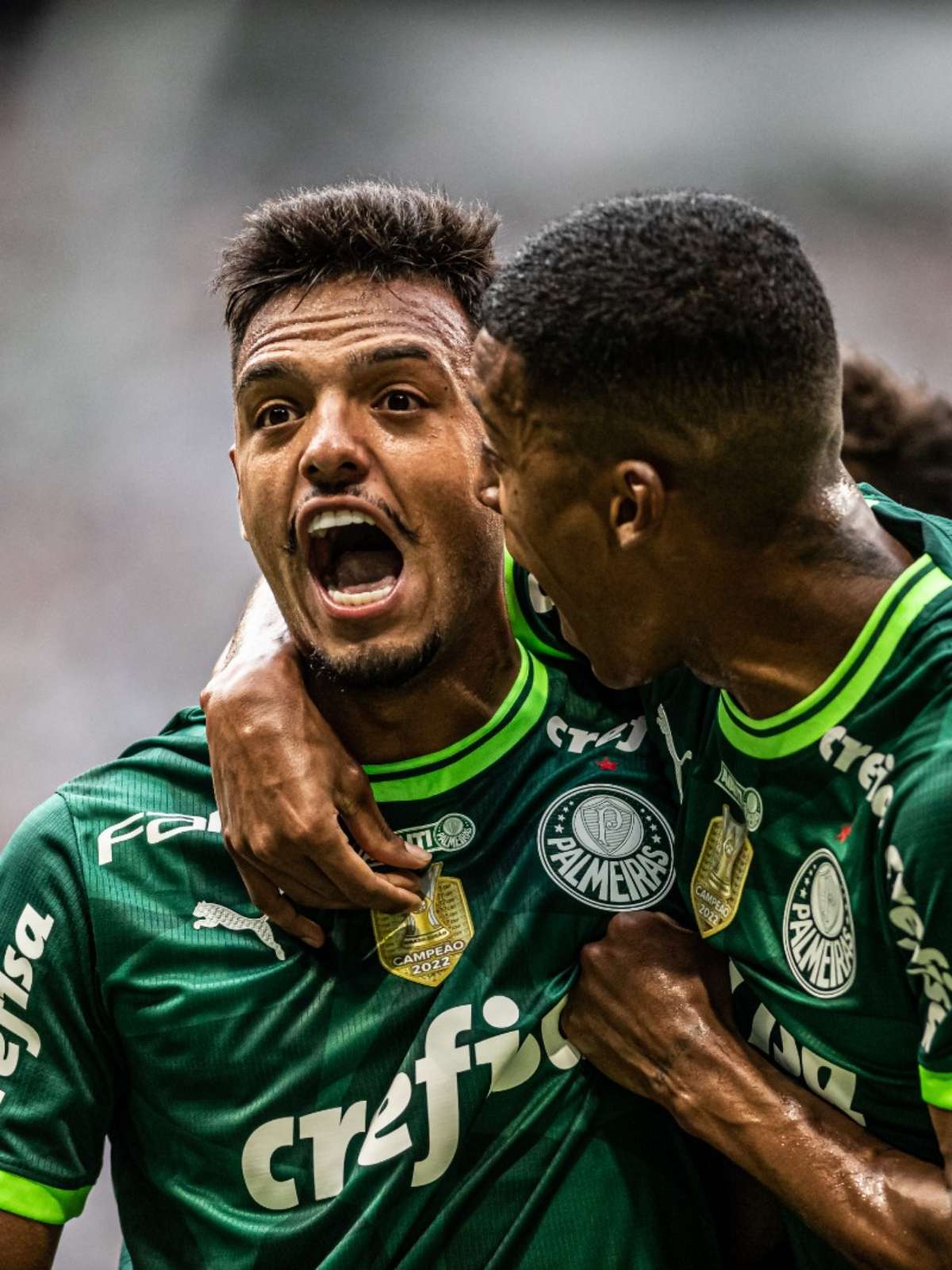 Palmeiras vence o Santos e conquista o Campeonato Paulista