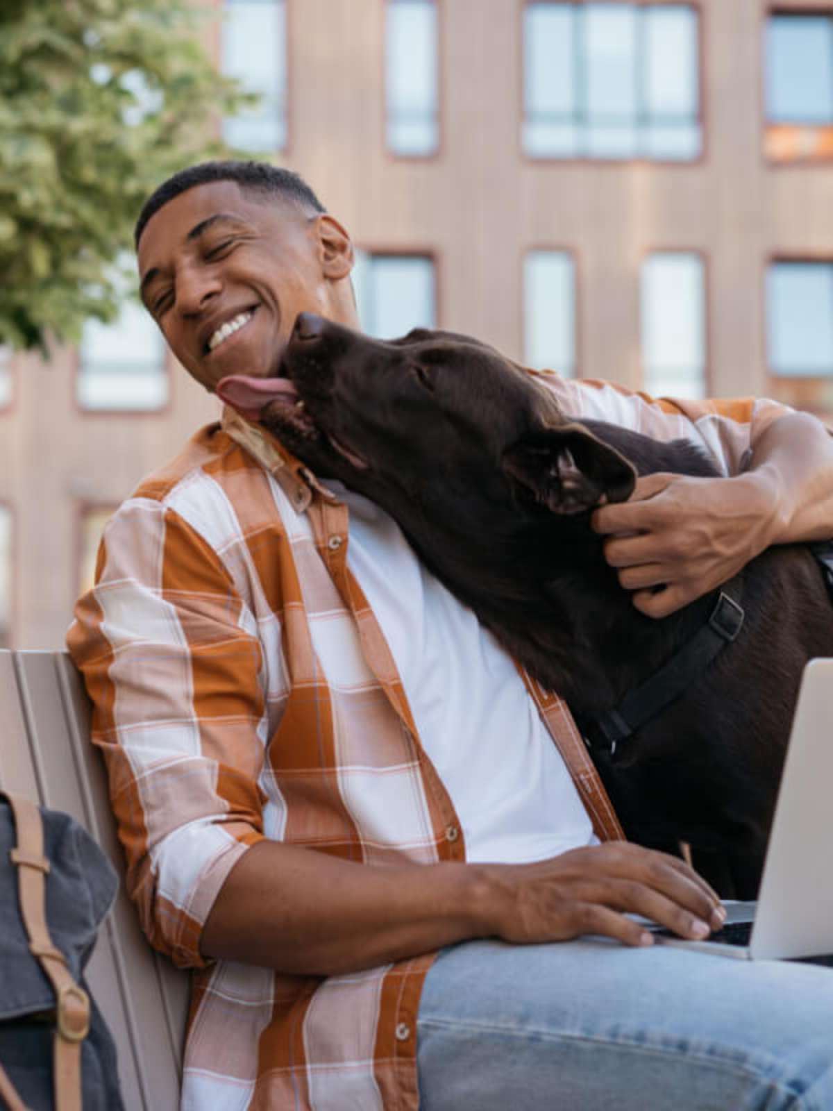 6 motivos pelos quais o cachorro lambe o tutor