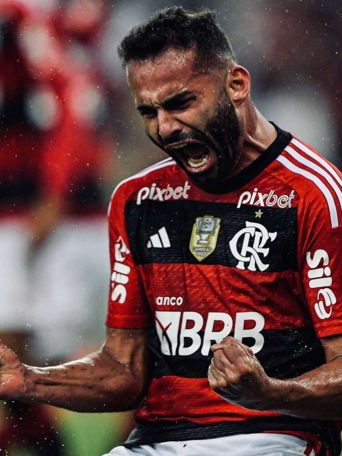 Brilhou no Brasileirão, ficou na mira de grandes clubes e agora vai jogar  no Flamengo