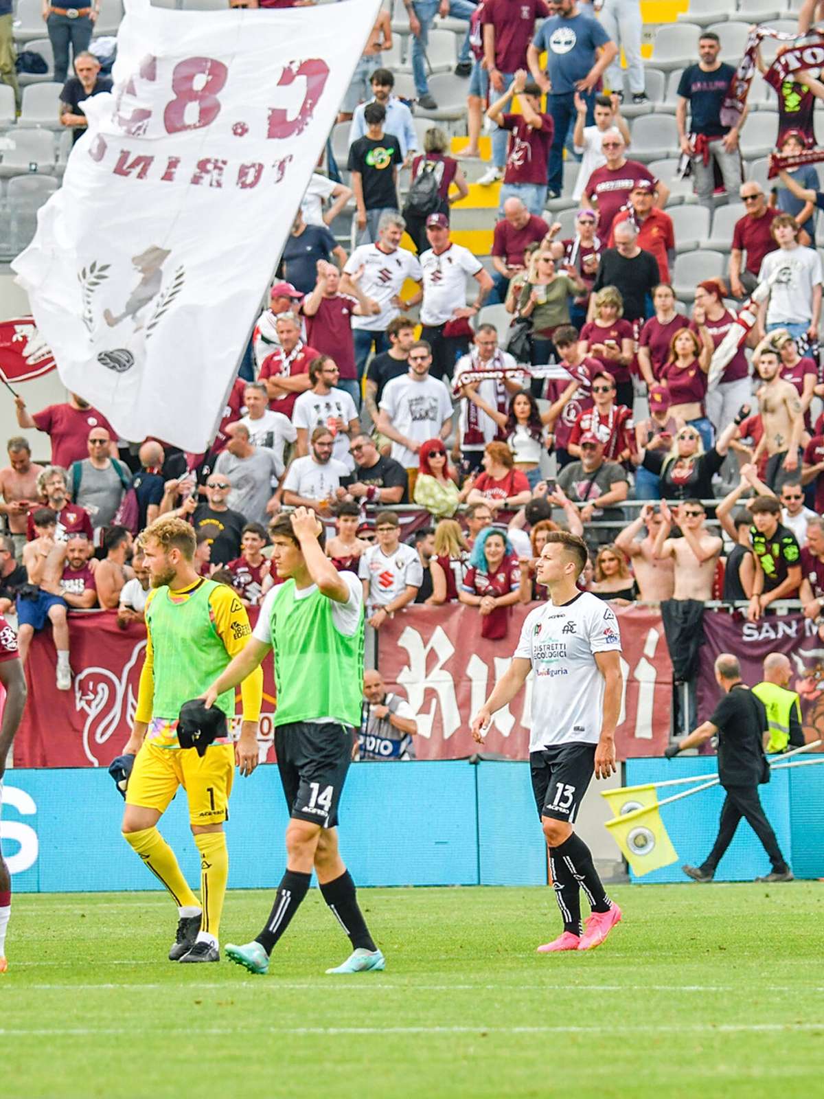 Bologna x Spezia: saiba onde assistir jogo do Campeonato Italiano