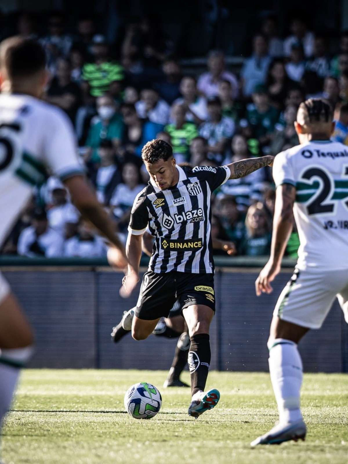 Santos x Grêmio: onde assistir, escalações e como chegam os times